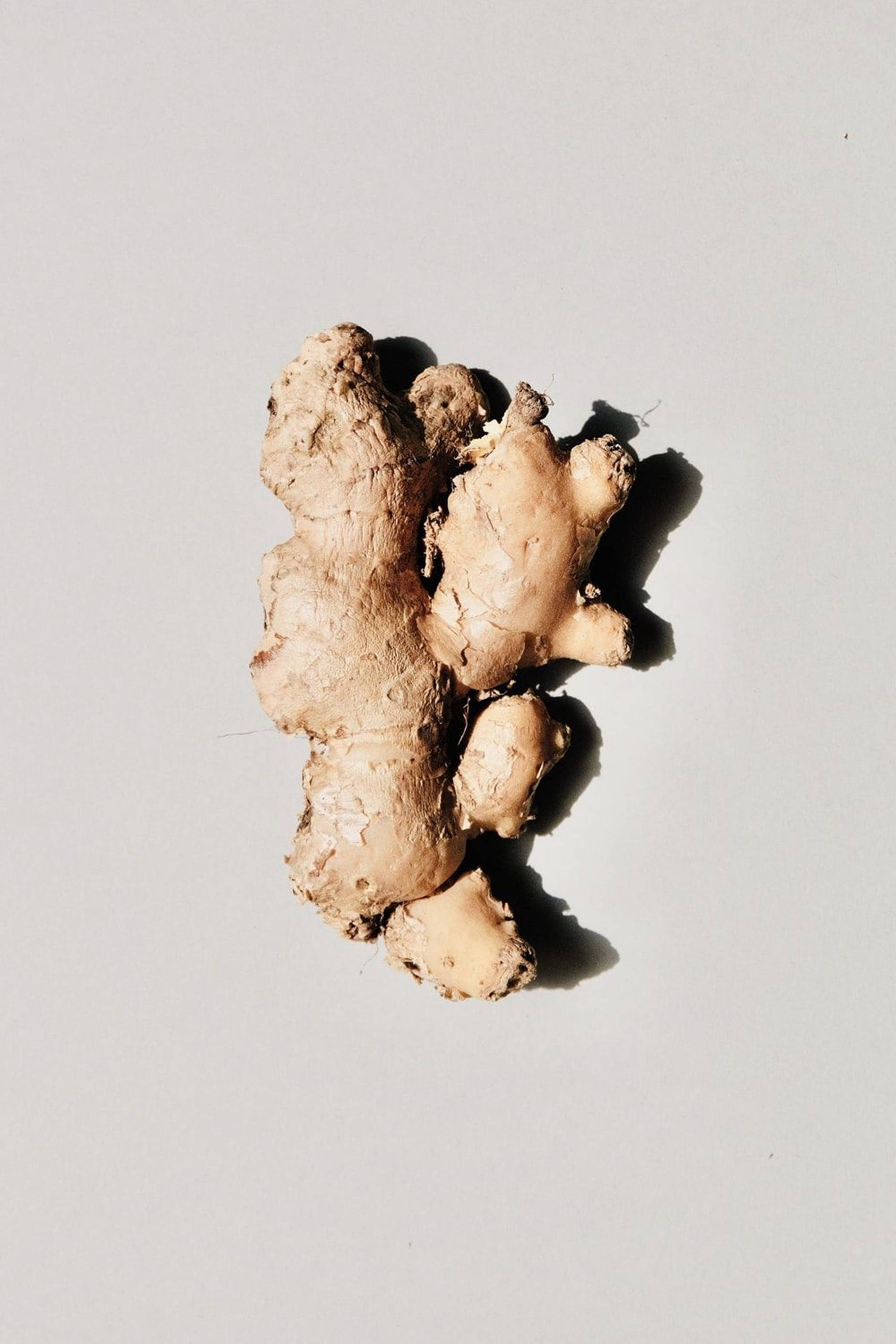 Ginger 桌布 壁紙 — 一塊帶有紋理外皮的生薑根，在淺灰色平面上投下清晰的陰影。