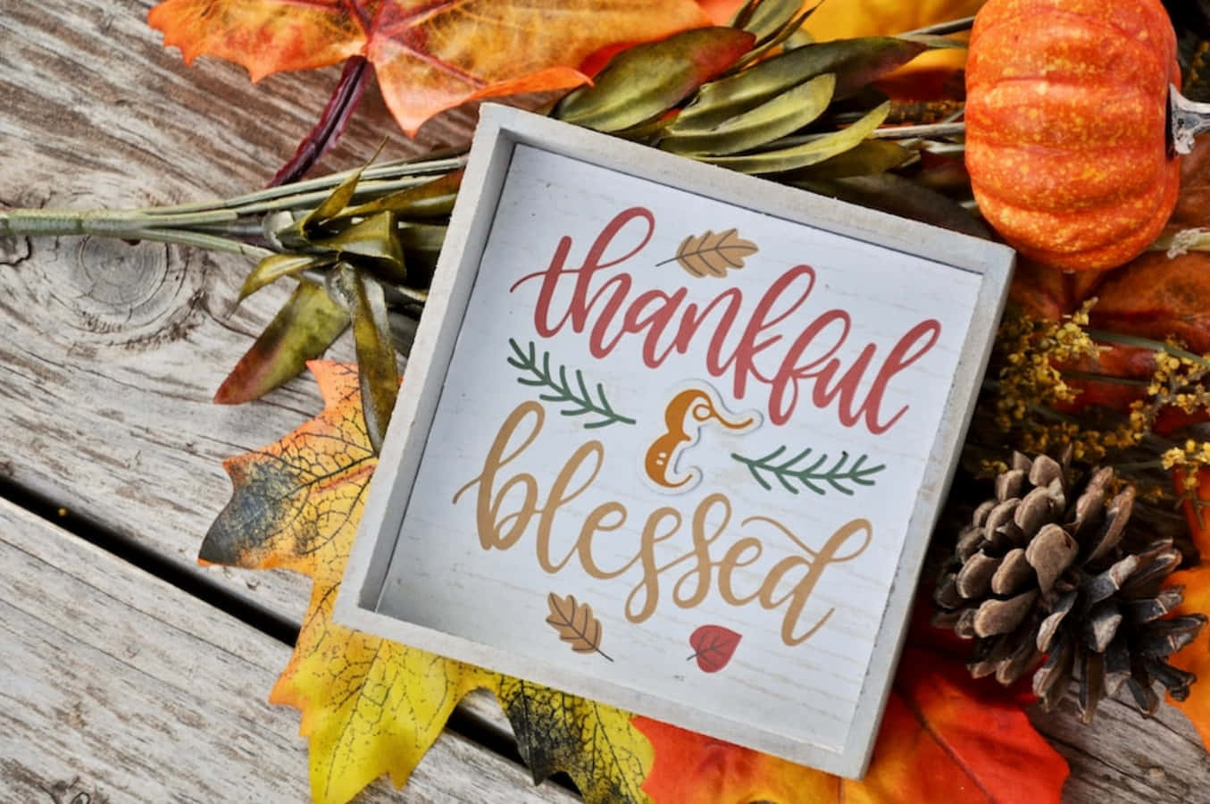 Thankful 桌布 壁紙 — 一塊木牌上寫著 thankful blessed，周圍環繞著秋葉、松果和南瓜，置於風化木上。