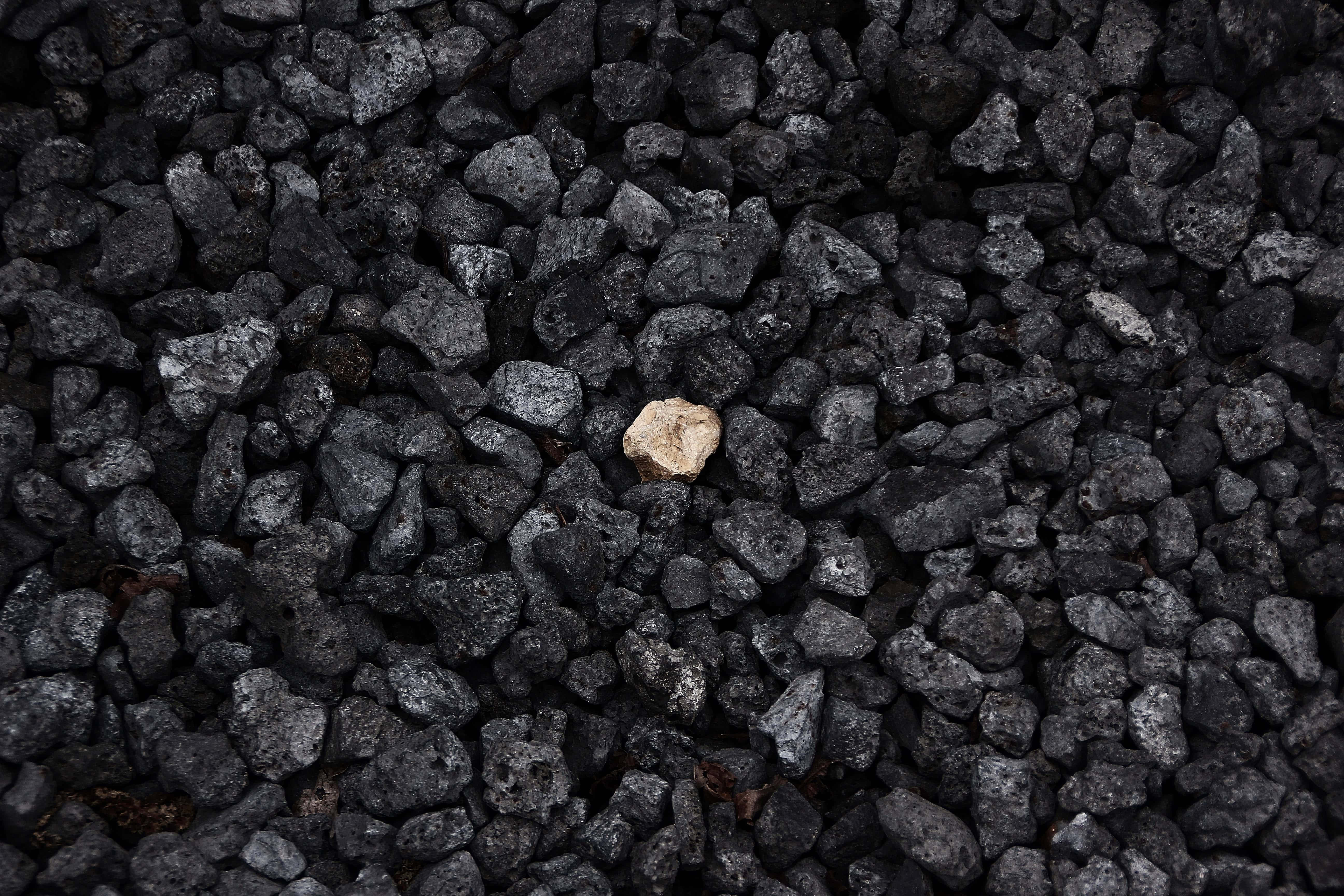 Charcoal 桌布 壁紙 — 一塊淡色石頭在一片深灰色火山岩海中突出，呈現出清晰、有質感的特寫。