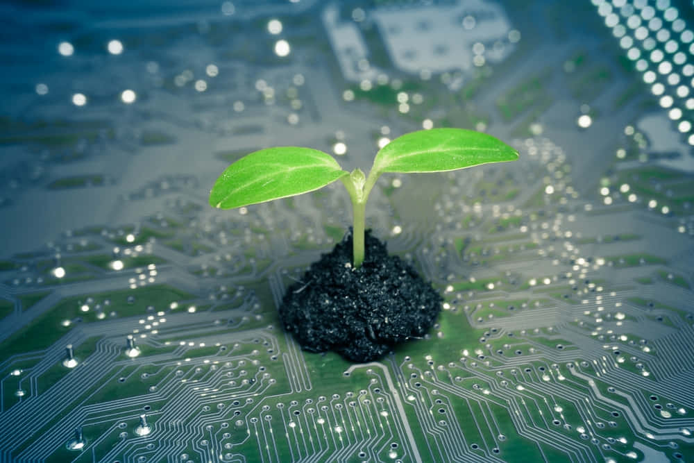 Green Technology 桌布 壁紙 — 一塊細節豐富的綠色電路板上，土壤中長出一株充滿活力的綠色嫩芽，帶有發光的金屬路徑。