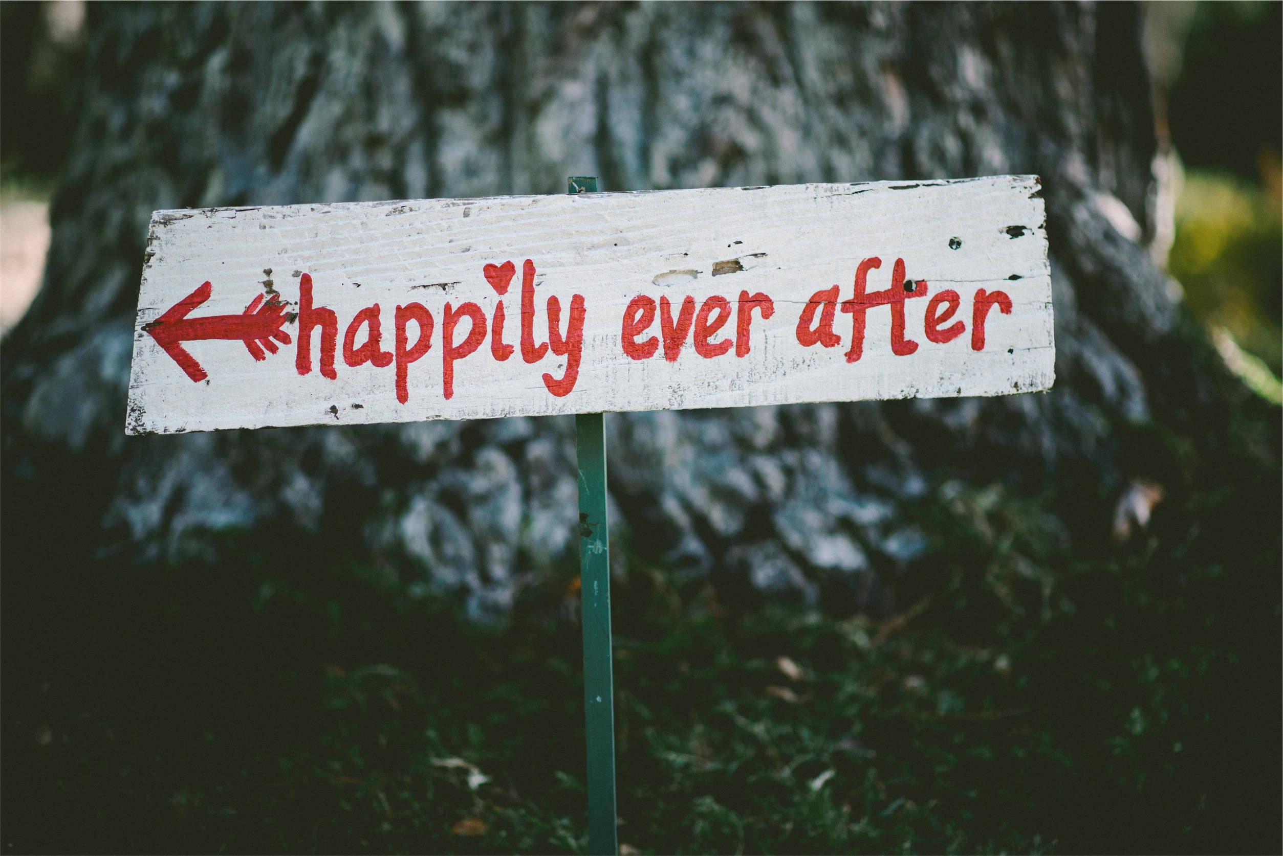 快樂 桌布 壁紙 — 一塊經風化的白色木牌，上面有紅色手寫文字「happily ever after」，箭頭指向左方，背景是模糊的樹幹。
