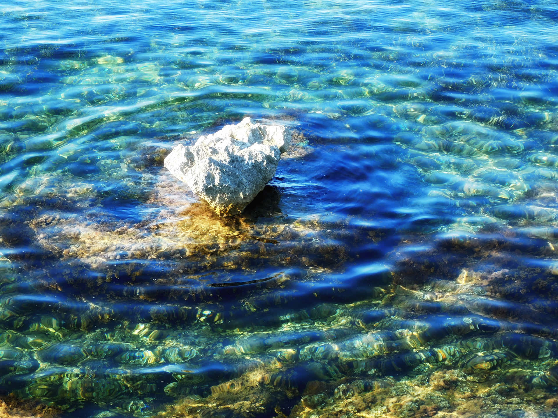 Sea 壁紙 — 一塊被陽光照射的白色岩石從清澈的碧綠海水中浮現，輕柔的漣漪扭曲了沙質海底的視野。