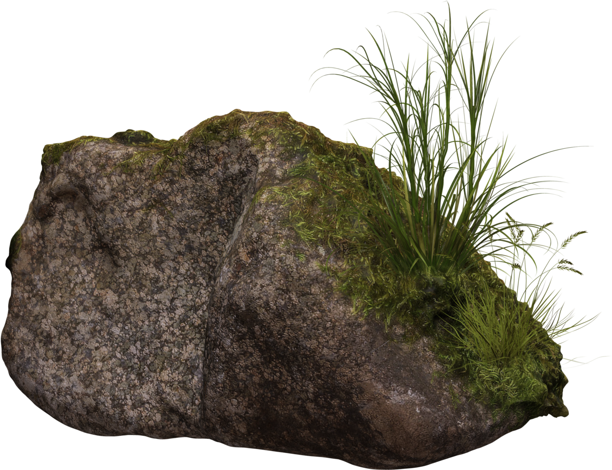 Moss 桌布 壁紙 — 一塊質感灰色岩石，覆蓋著苔蘚和高高的綠草，背景為黑色。