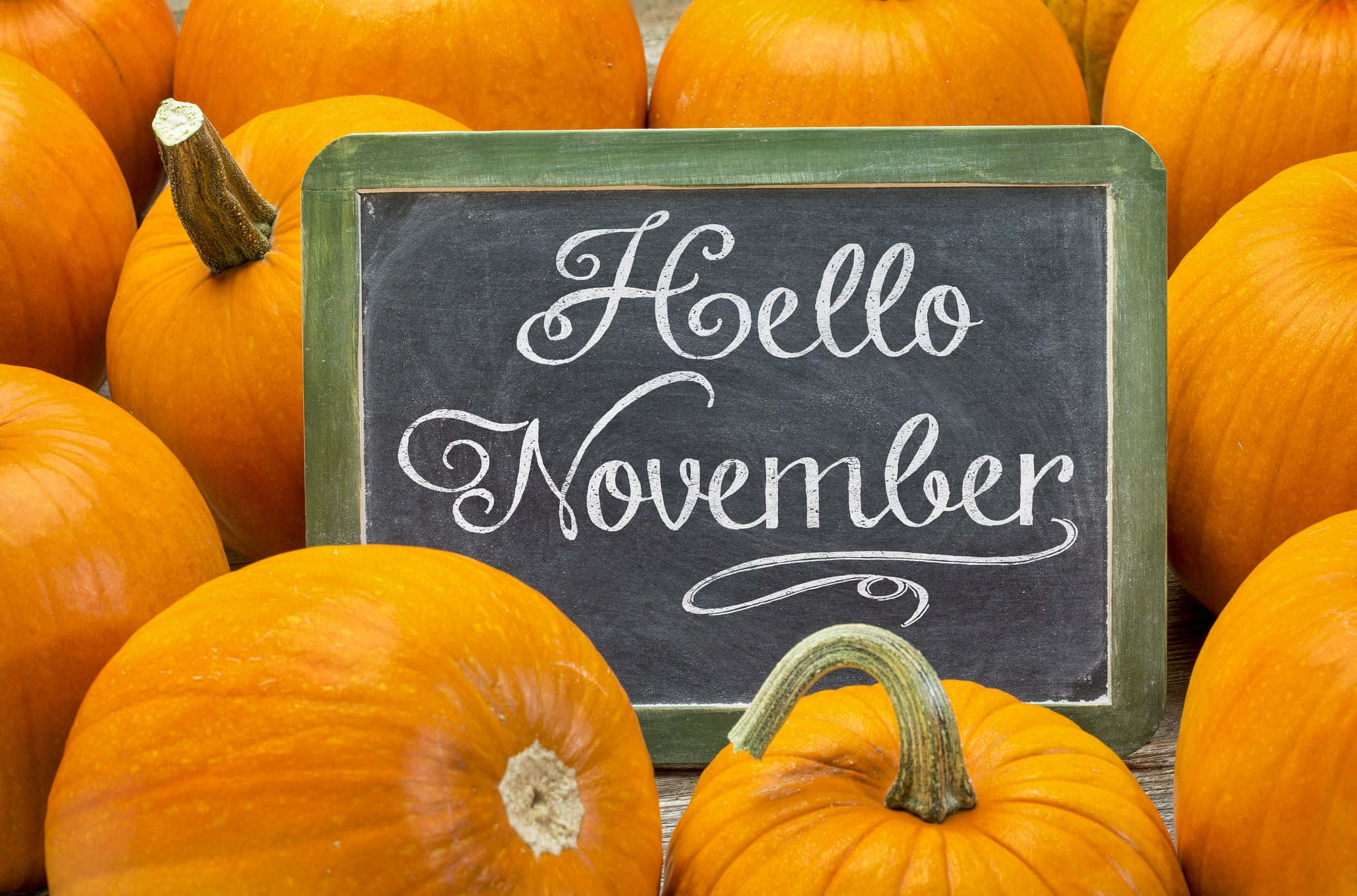 Autumn Bounty 桌布 壁紙 — 一塊質樸的黑板，上面寫著 Hello November，周圍環繞著鮮豔的橙色南瓜，置於木質表面上。