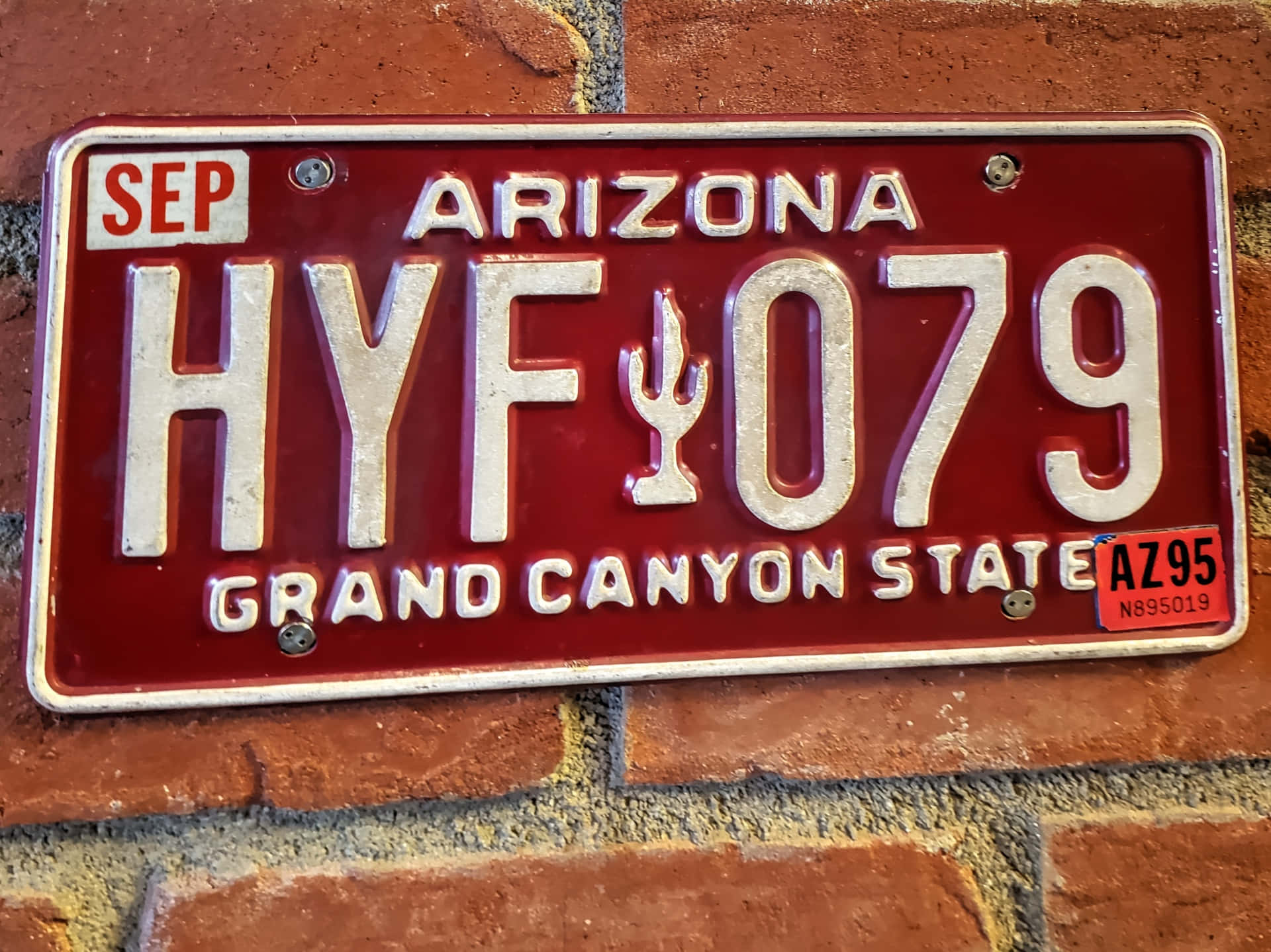 License Plate 桌布 壁紙 — 一塊風化的亞利桑那州車牌，帶有 HYF 079 和仙人掌標誌，安裝在紅磚牆上。