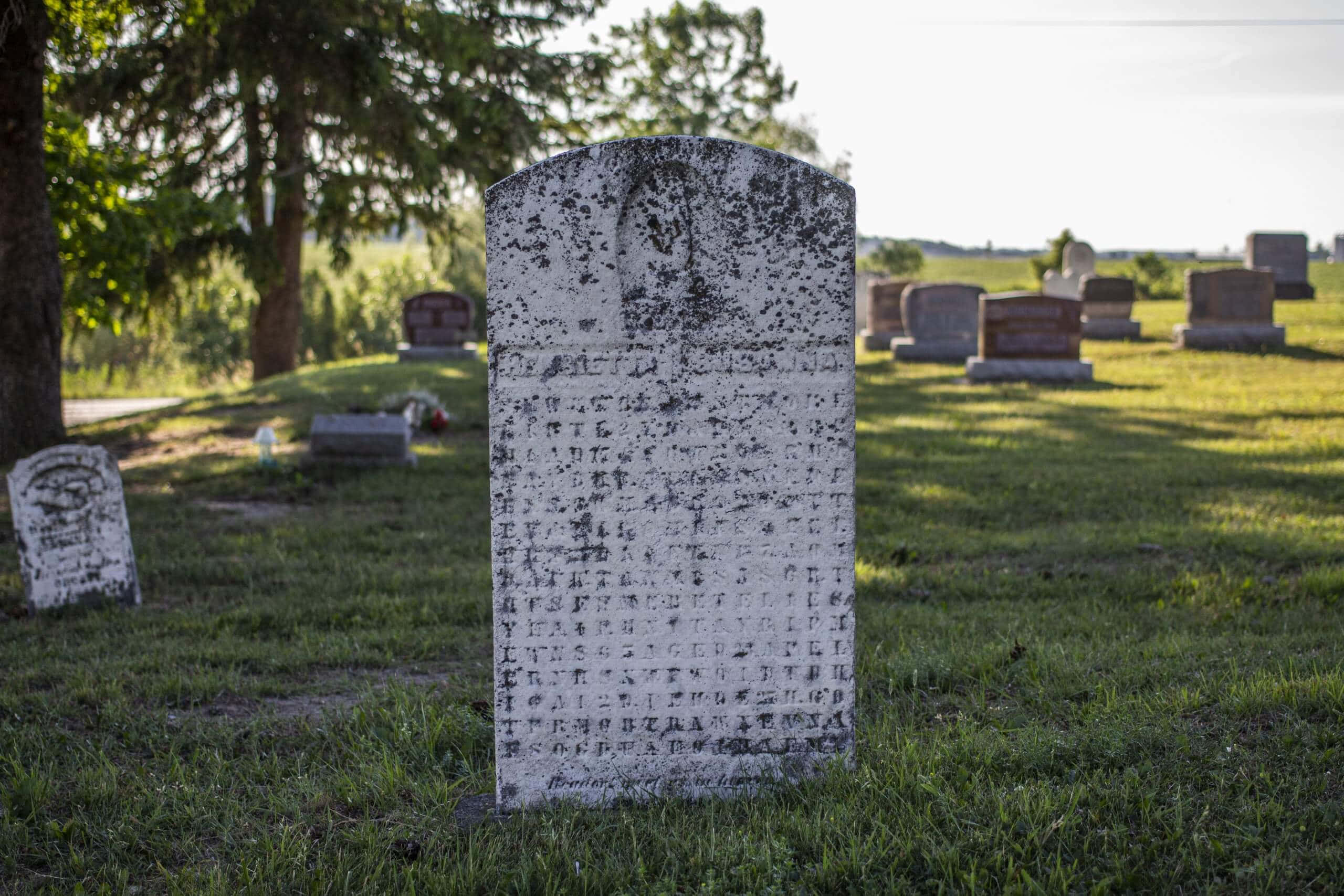 Gravestone 桌布 壁紙 — 一塊風化的墓碑矗立在陽光明媚的墓地中，背景有綠草和樹木。