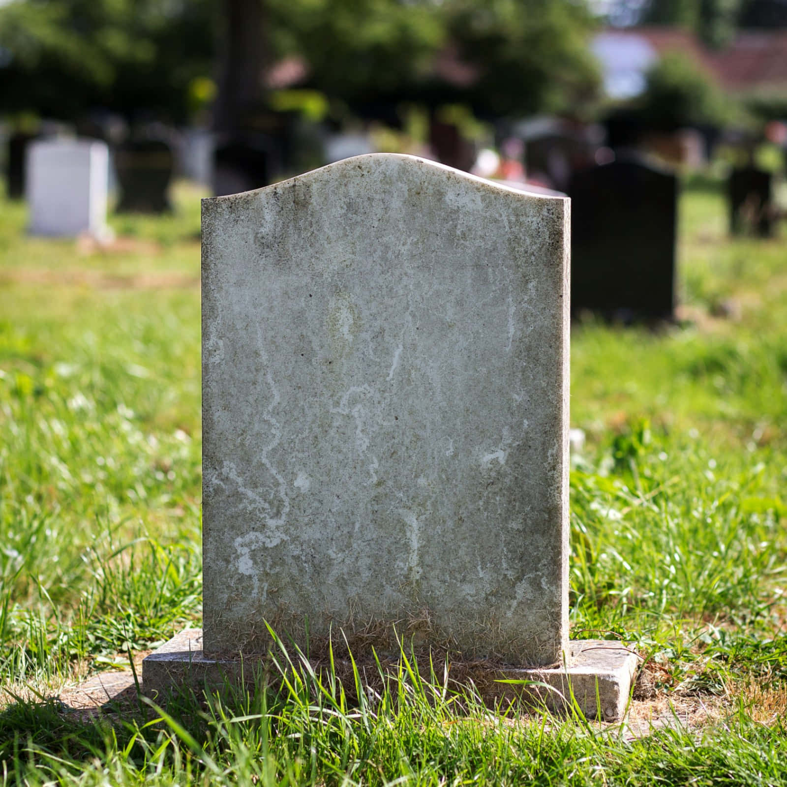 Gravestone 桌布 壁紙 — 一塊風化的灰色墓碑莊嚴地矗立在陽光明媚的草地墓園中，背景有模糊的墓碑。