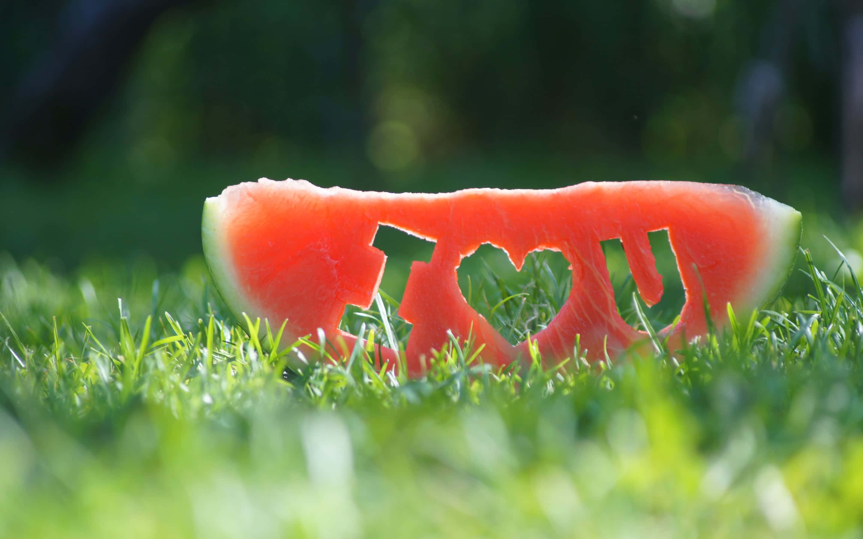 水果 桌布 壁紙 — 一塊鮮豔的西瓜切片上刻有「I ❤️ U」，在明媚陽光下放在茂密的綠草地上。
