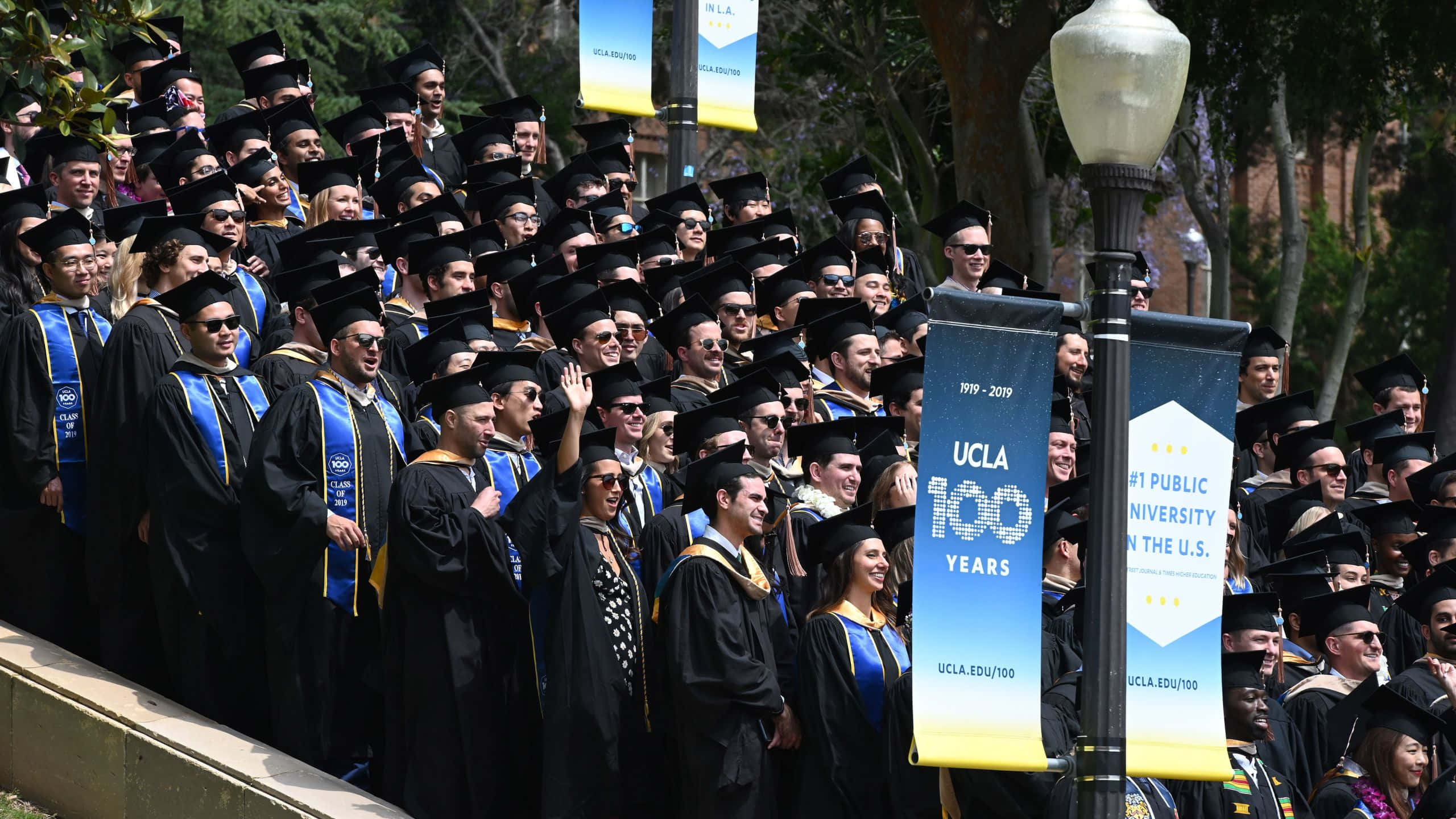 Graduation Ceremony 桌布 壁紙 — 一大群面帶微笑的畢業生身穿黑色學位袍和學士帽，在陽光明媚的校園山坡上，旁邊掛著慶祝的UCLA旗幟，向人群揮手。