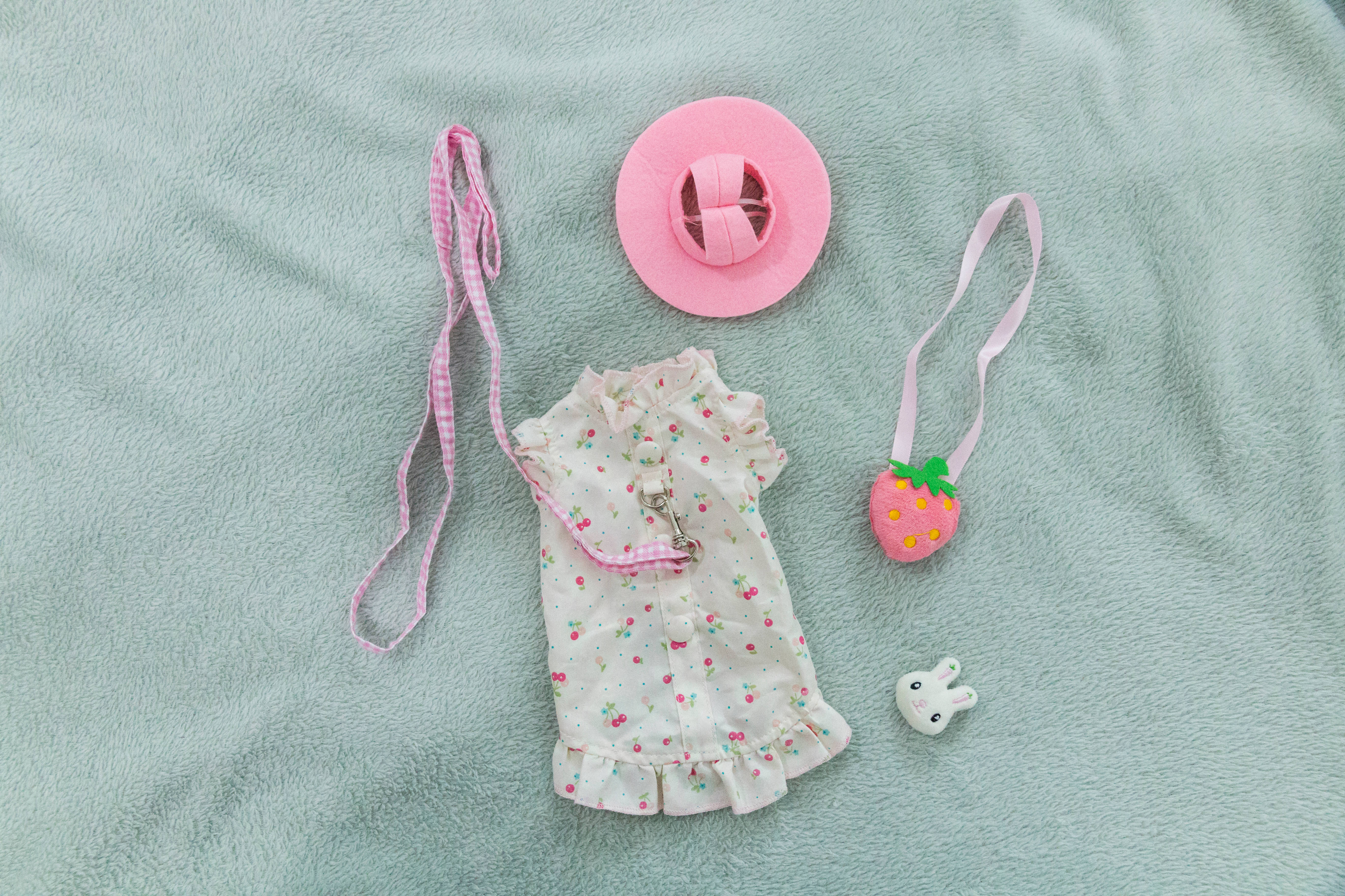 Cute Pink Girl 桌布 壁紙 — 一套粉紅色和白色的花卉寵物服裝，搭配相襯的配件，放在柔軟的薄荷綠色毯子上。