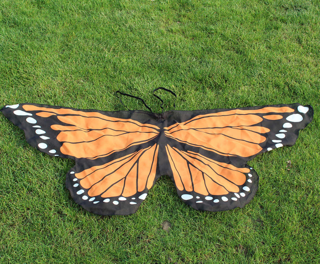 Butterfly Wing Dress 桌布 壁紙 — 一套逼真的橙色和黑色帝王蝶服裝翅膀套裝平放在充滿活力的綠色草地上。