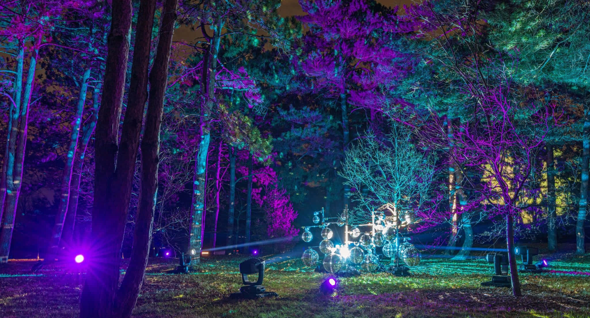 Light Up 桌布 壁紙 — 一套鼓沐浴在霓虹紫色和青色燈光中，佇立在夜晚黑暗森林的舞台中央。