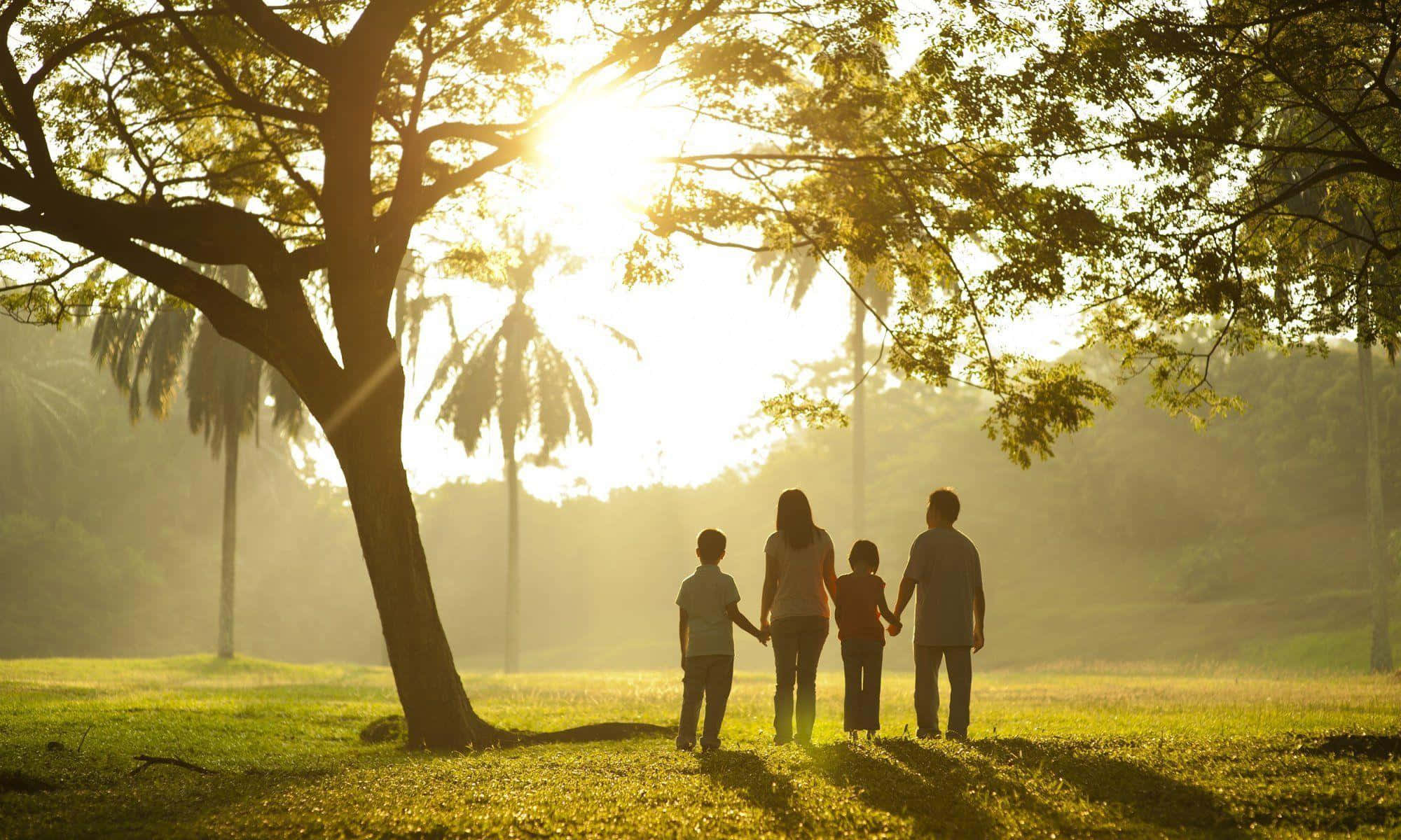 Family 桌布 壁紙 — 一家四口在一棵大樹下牽手，金色陽光穿過樹葉灑落在寧靜的公園中。