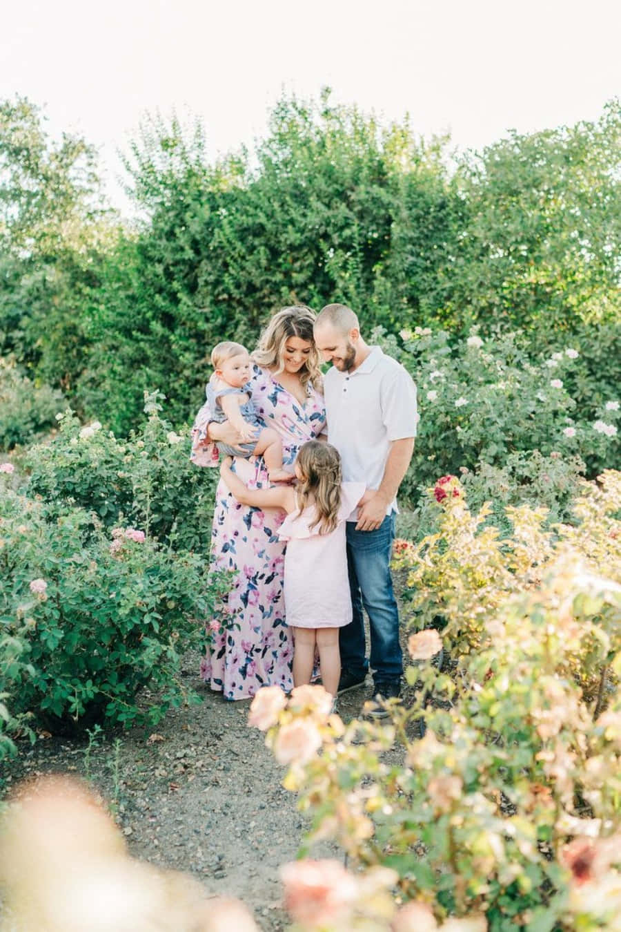 Spring Family 桌布 壁紙 — 一家四口在陽光明媚的花園中，在盛開的玫瑰叢間分享溫馨時刻。