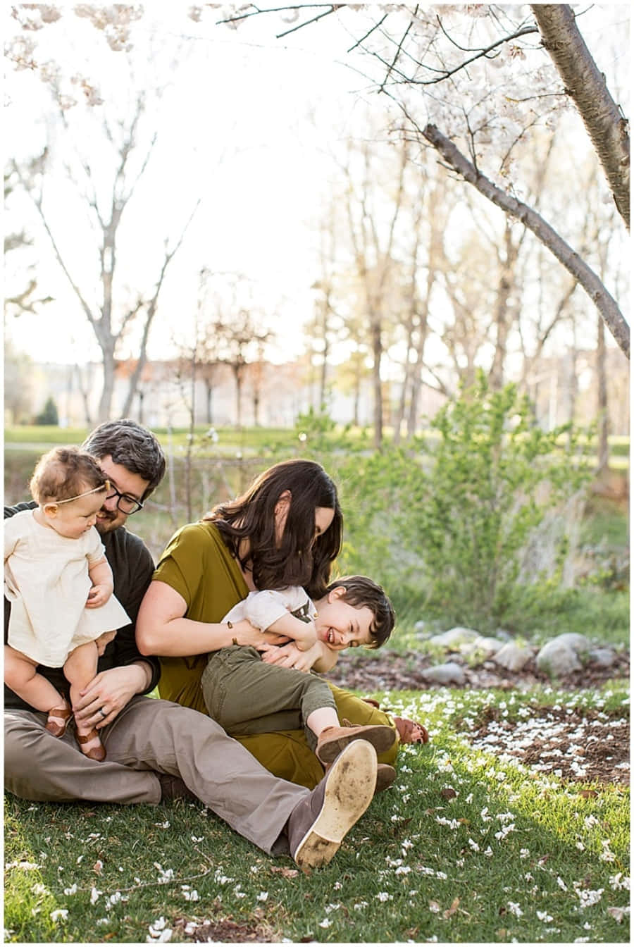 Spring Family 桌布 壁紙 — 一家四口坐在草地上，盛開的櫻花樹下，陽光穿過光禿的樹枝灑落。