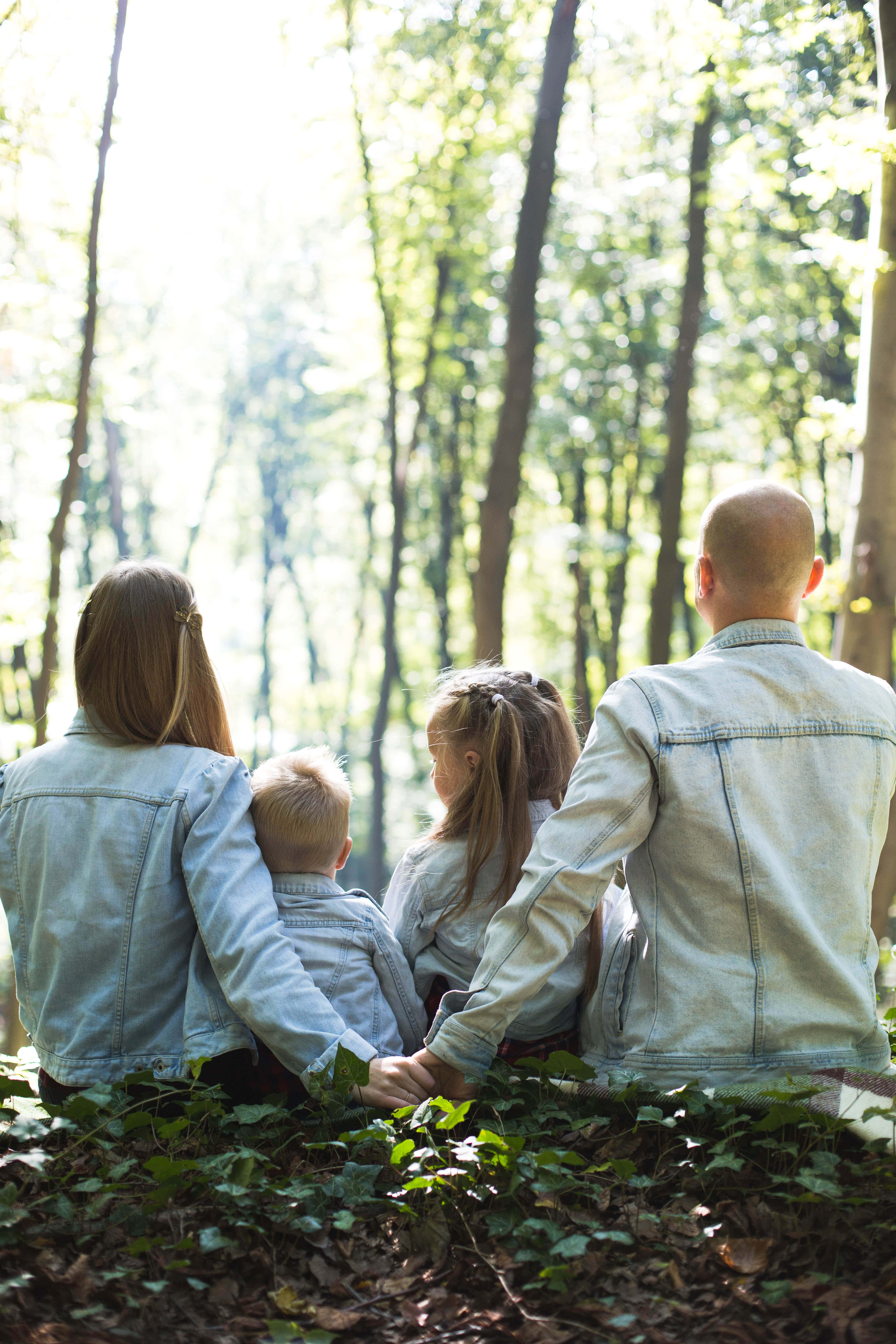 Family 桌布 壁紙 — 一家四口坐在陽光明媚的森林中，背對鏡頭，被高大的樹木和斑駁的光影包圍。