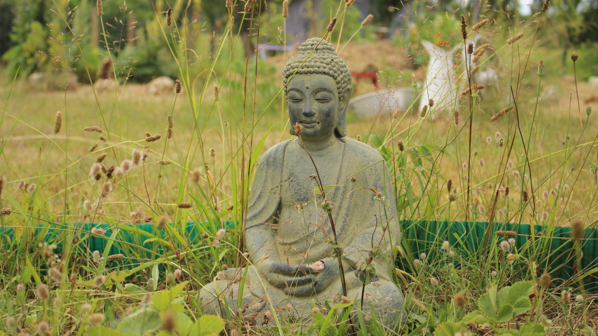 花園中被高草和野花環繞的石佛像。