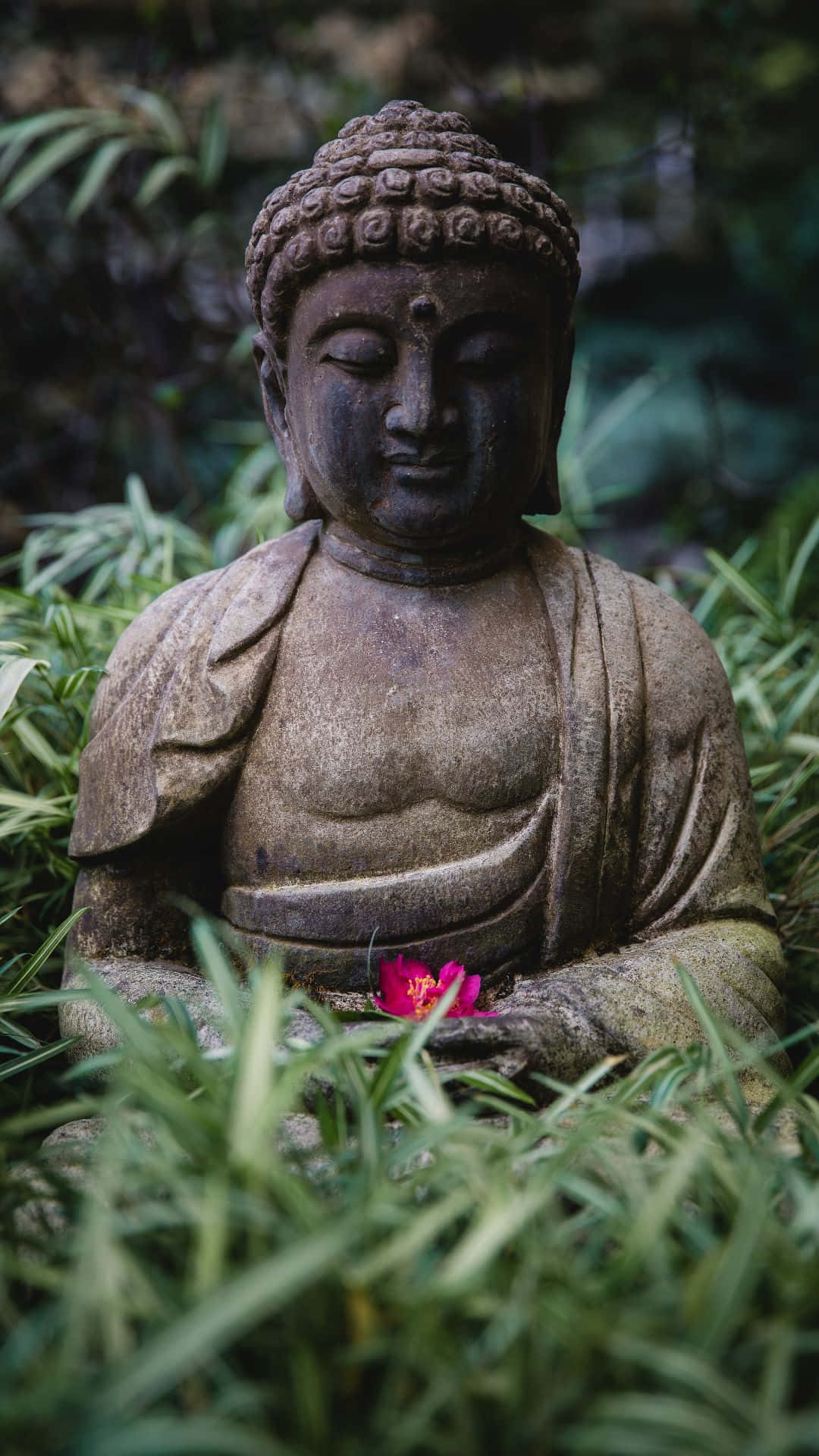 Meditation iPhone 桌布 壁紙 — 一尊寧靜的石佛像安詳地坐在茂密的綠草中，膝上放著一朵鮮豔的粉紅色花朵。