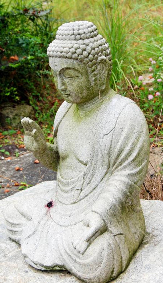 佛陀 桌布 壁紙 — 一尊寧靜的石佛像盤腿打坐，在綠色樹葉和落葉中冥想。