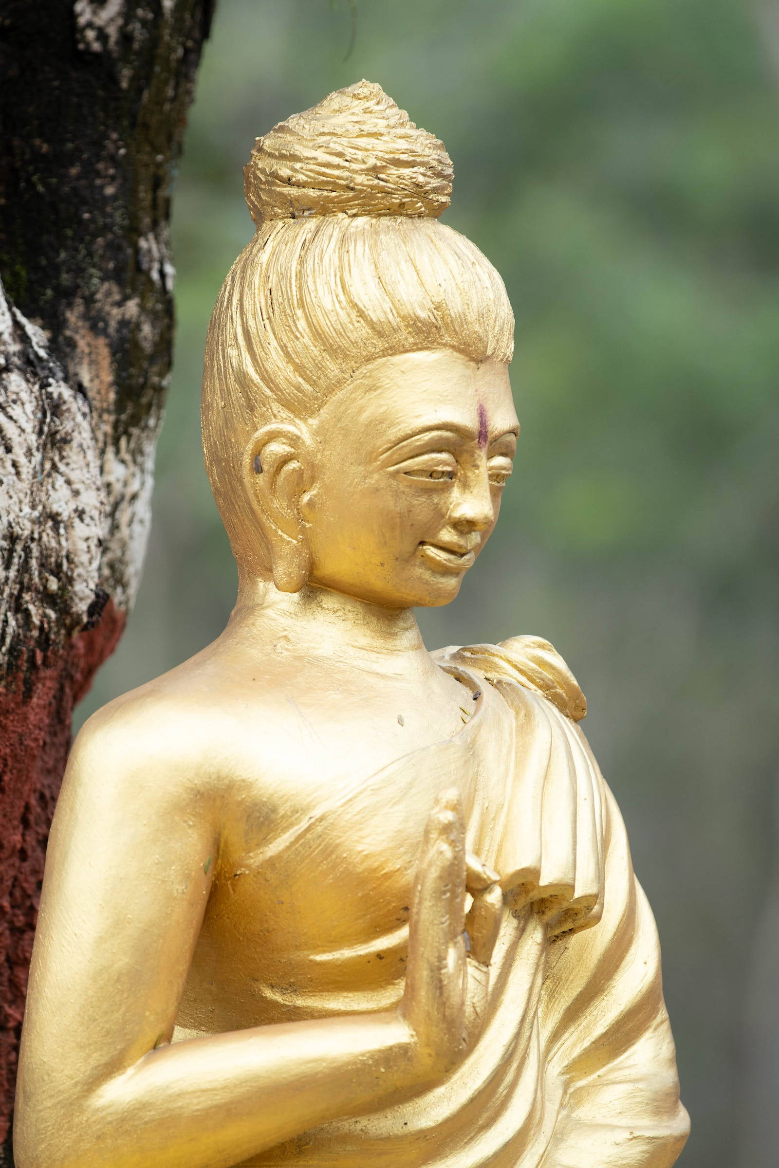 佛陀 桌布 壁紙 — 一尊寧靜的金色佛像，頭頂髮髻，雙手合十，佇立於樹幹旁，沐浴在柔和自然光中。