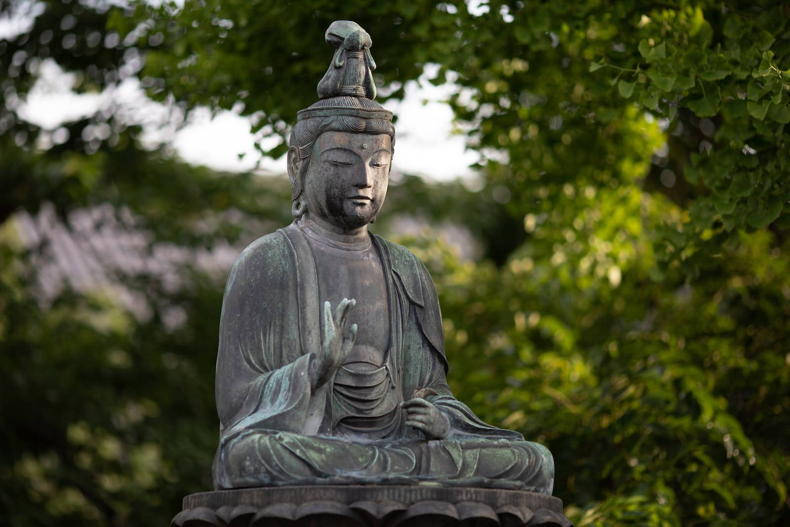 Gautam Buddha 桌布 壁紙 — 一尊寧靜的青銅佛像在柔和日光下，被茂密綠葉環繞，靜坐冥想。