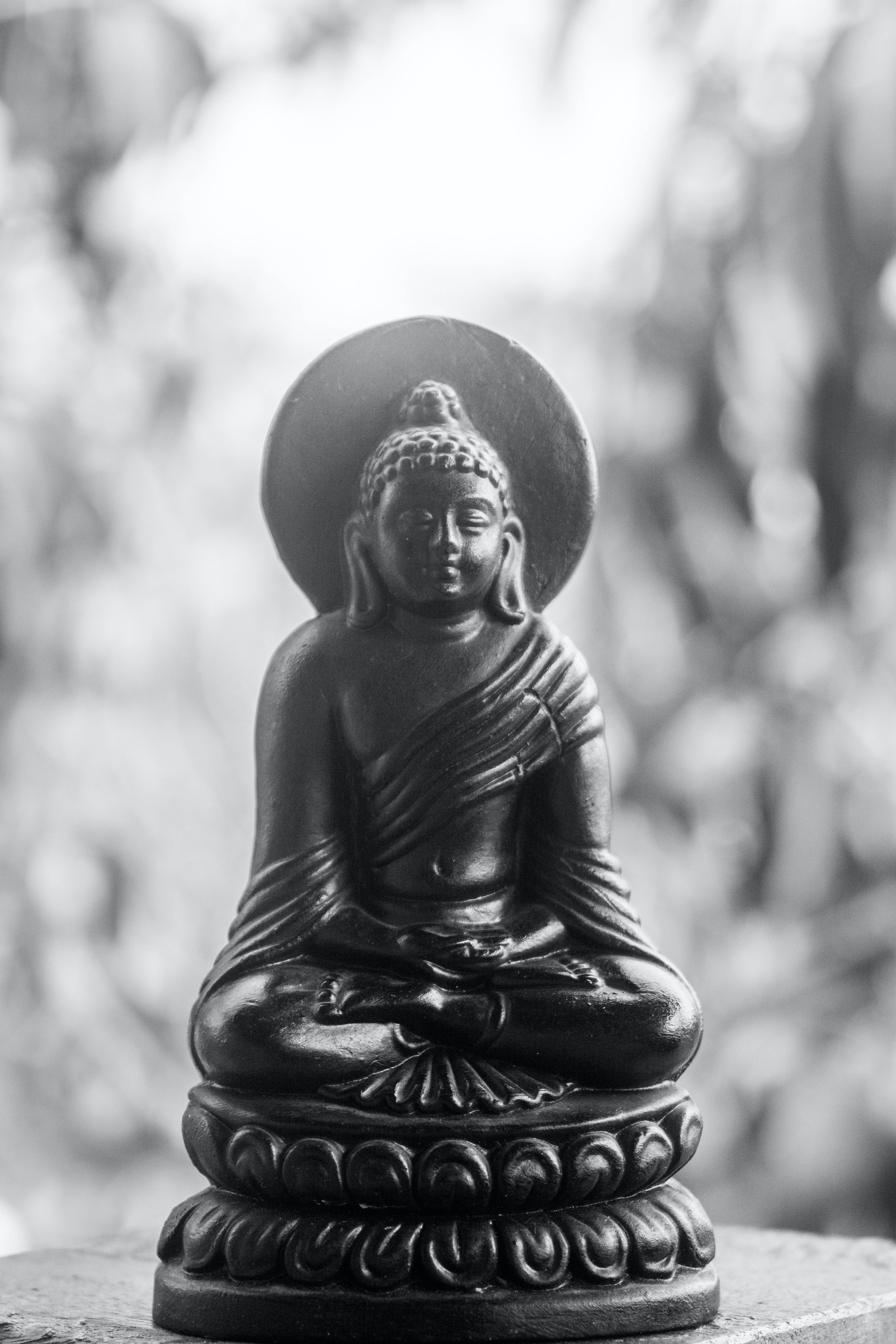 black buddha 桌布 壁紙 — 一尊寧靜的黑白佛像在柔和模糊的自然背景下冥想，散發著光芒四射的光環。