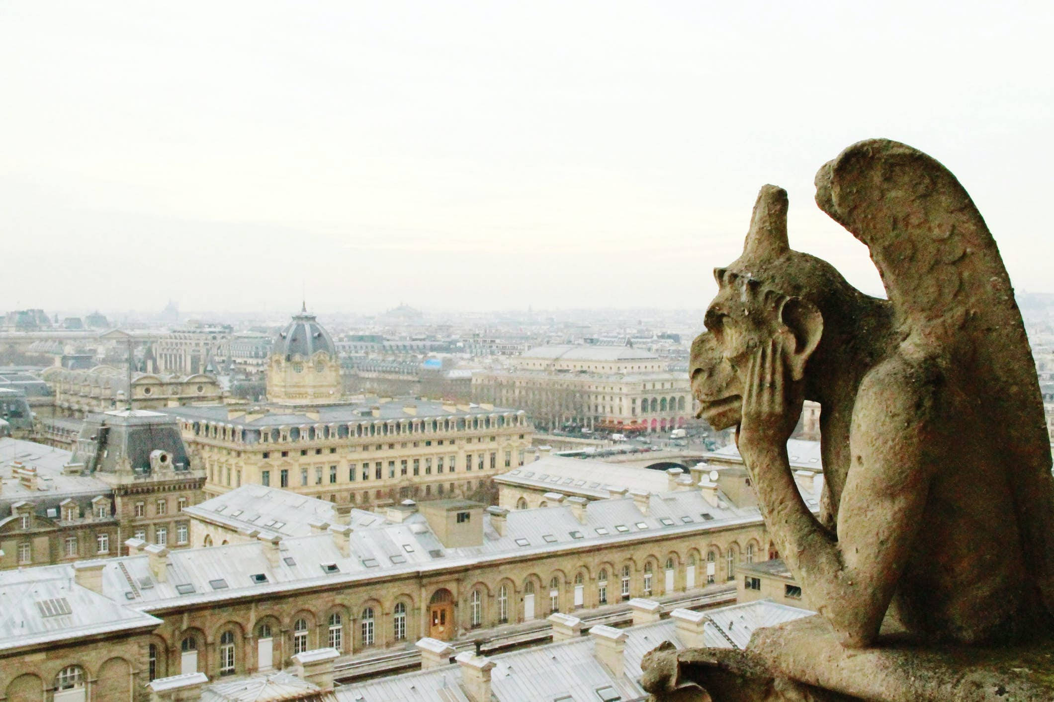 Notre Dame 桌布 壁紙 — 一尊石像怪獸雕像俯瞰著霧氣瀰漫的巴黎城市景觀，歷史悠久的屋頂和圓頂在灰色天空下。