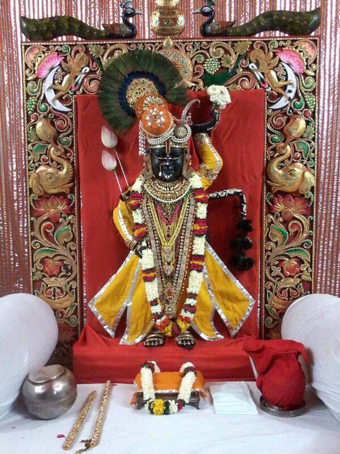 Shrinathji 桌布 壁紙 — 一尊裝飾華麗、身穿黃袍的黑皮膚神像，立於飾有孔雀與花卉圖案的金色華麗畫框前。