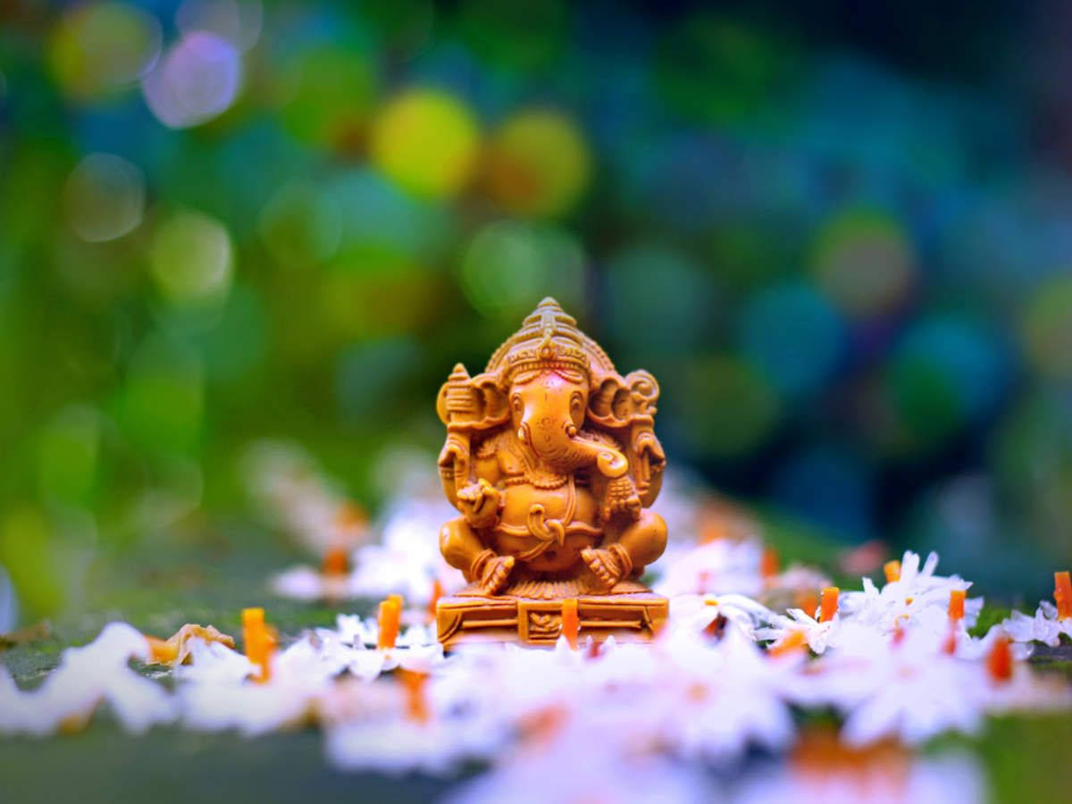 cute ganesha 桌布 壁紙 — 一尊金色的象神雕像安詳地坐在白色花朵和橙色花瓣中，表面長滿苔蘚，背景是充滿活力的綠色散景。