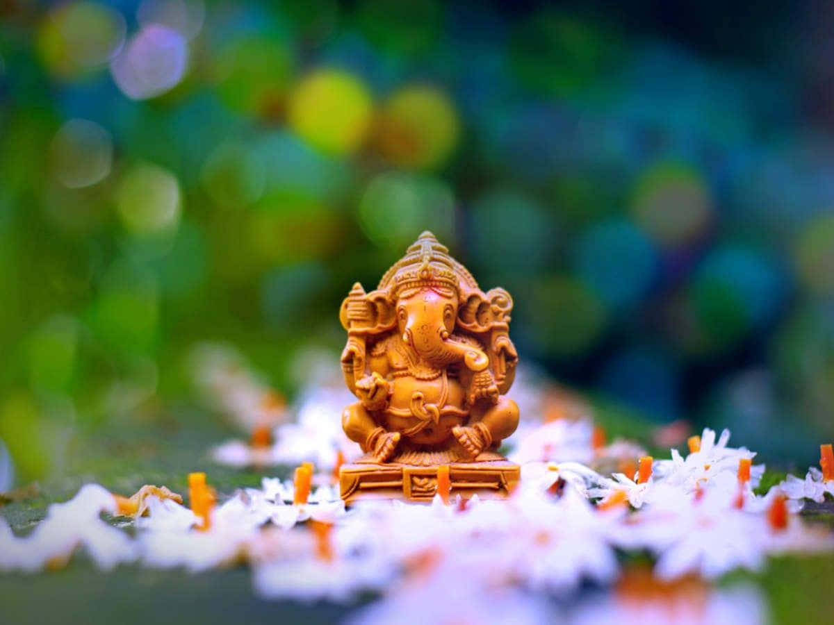 Ganesh 桌布 壁紙 — 一尊金色的象神雕像安詳地坐在白色和橙色花瓣中，表面佈滿苔蘚，背景是茂密的綠色散景。