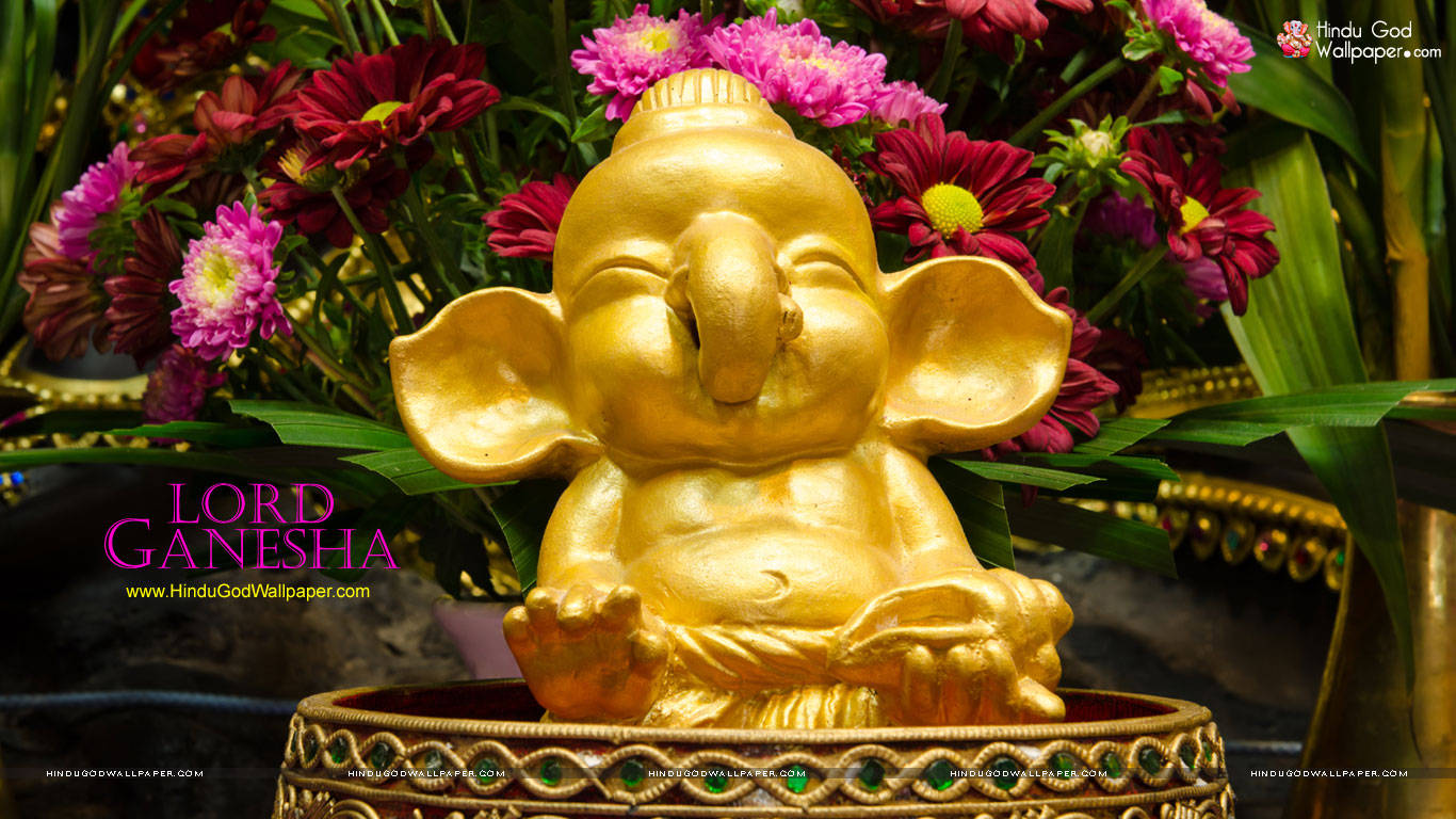 cute ganesha 桌布 壁紙 — 一尊閃閃發光的金色象神雕像安詳地坐在一個華麗的基座上，周圍環繞著鮮豔的粉紅色和栗色花朵。