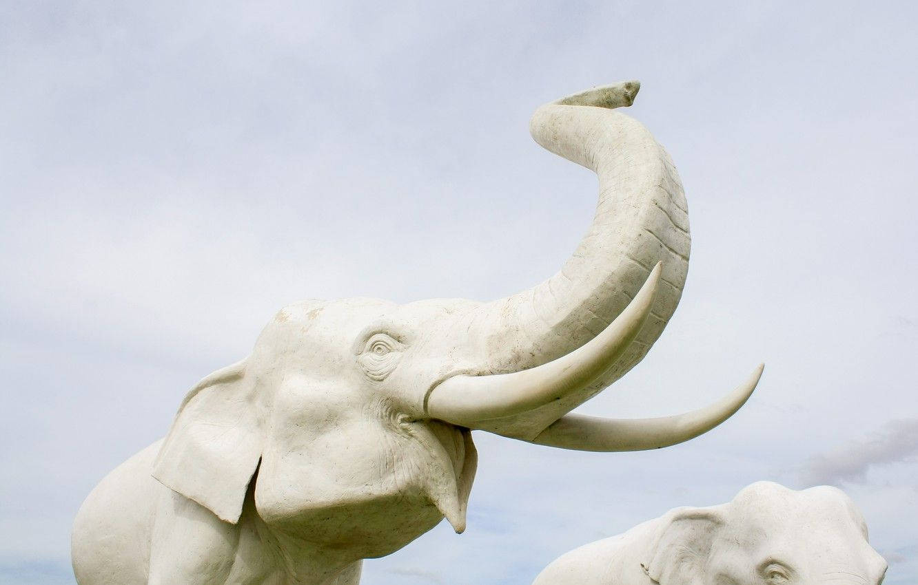 Elephant HD 桌布 壁紙 — 一尊雄偉的白象雕像，有著彎曲的象鼻和象牙，矗立在柔和的雲天背景下。