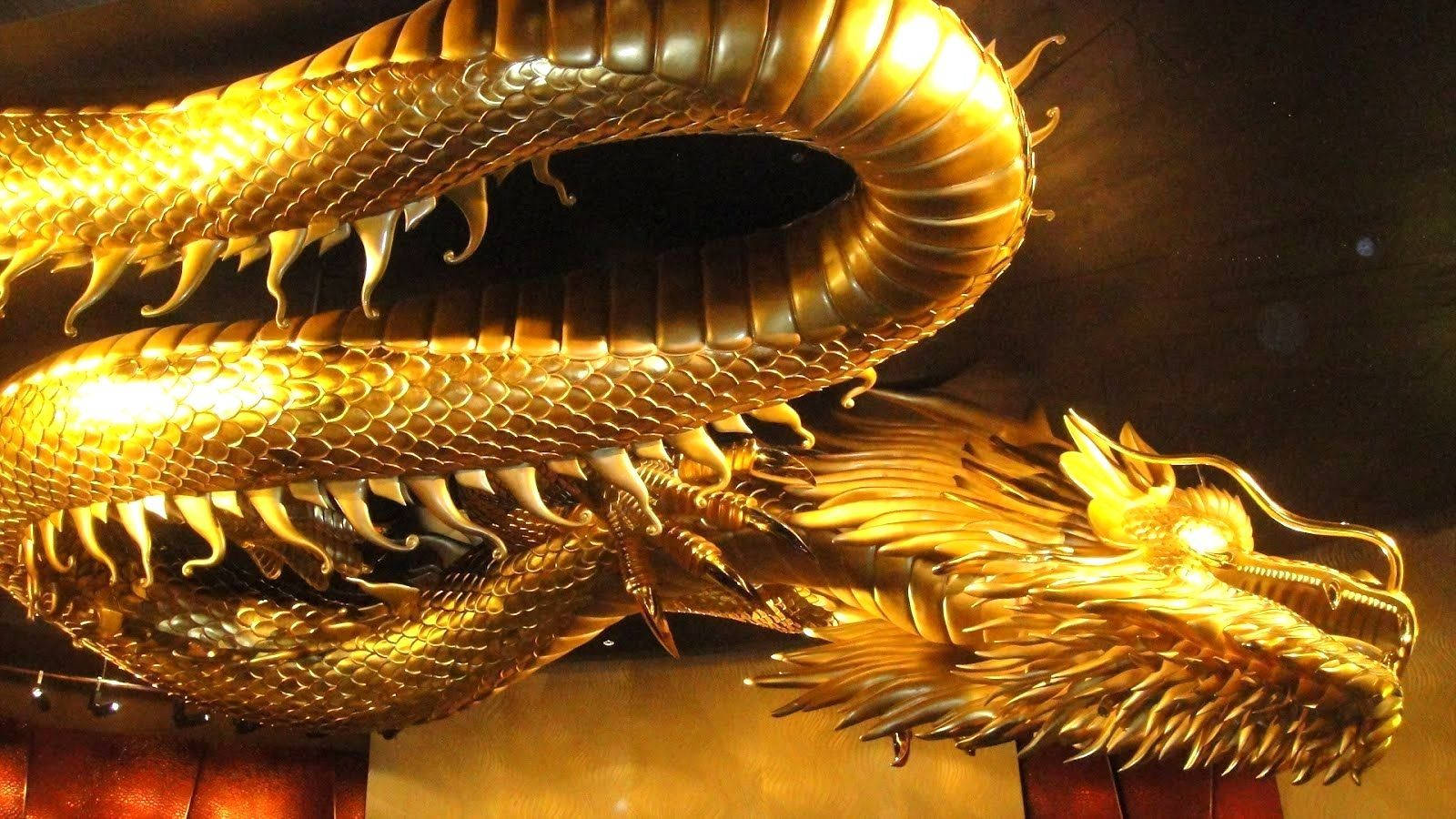 Gold Dragon 桌布 壁紙 — 一尊雄偉的金龍雕塑在溫暖的聚光燈下戲劇性地盤繞，其精細的鱗片和兇猛的表情引人注目。