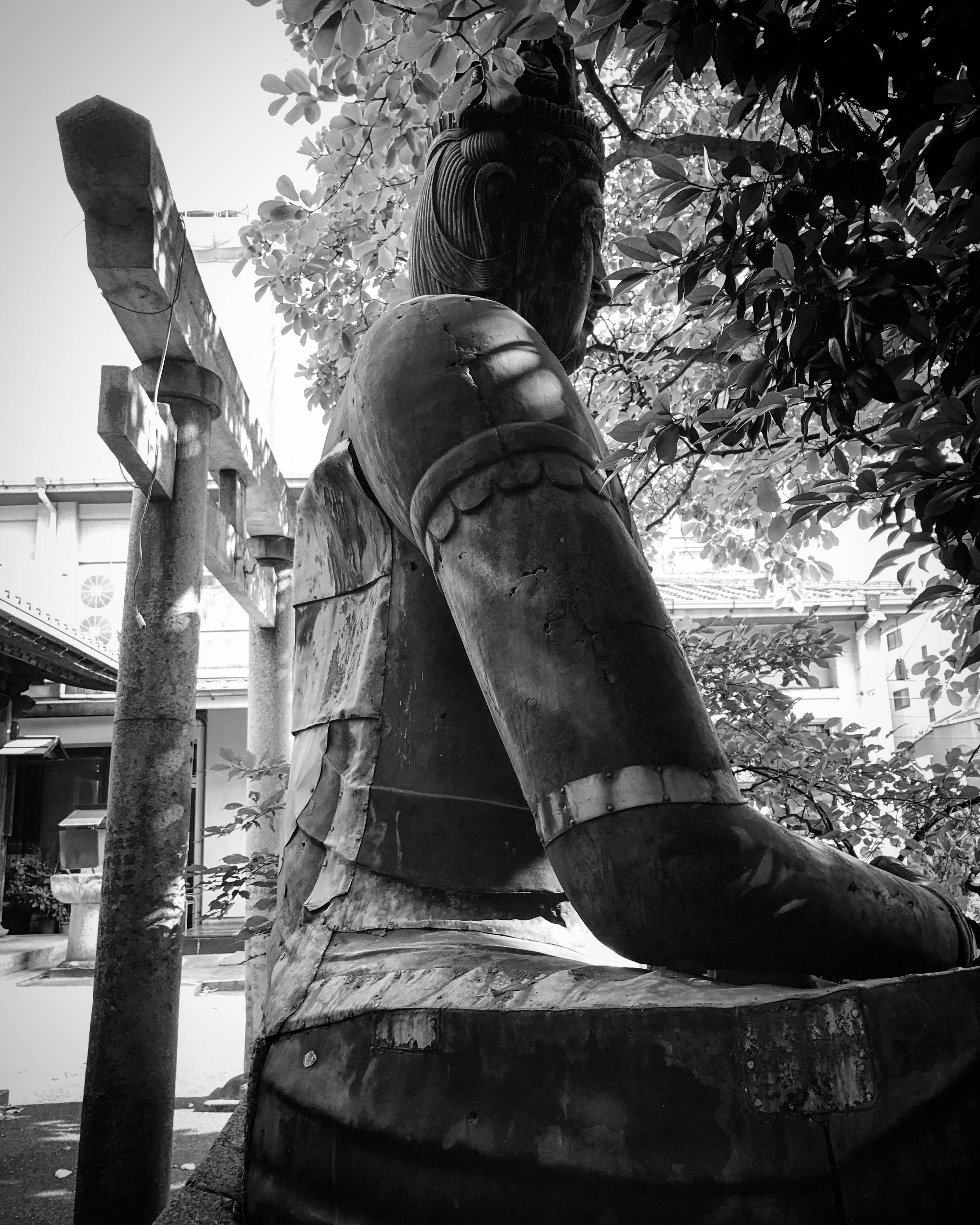 Nagoya 桌布 壁紙 — 一尊風化的黑白坐佛像，被樹枝和木製鳥居框在寧靜的神社環境中。