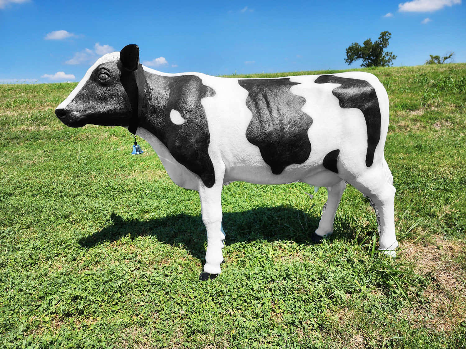Black And White Cow 桌布 壁紙 — 一尊黑白乳牛雕像站在長滿草的山丘上，天空湛藍，白雲點點。
