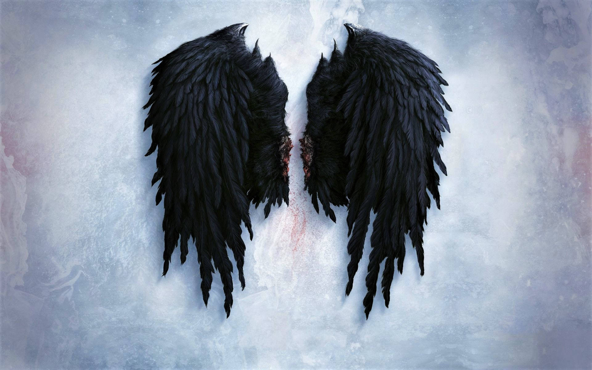 Wings 桌布 壁紙 — 一對巨大的黑色羽毛翅膀在帶有紋理的冰藍色和白色背景上展開，帶有微妙的紅色點綴。
