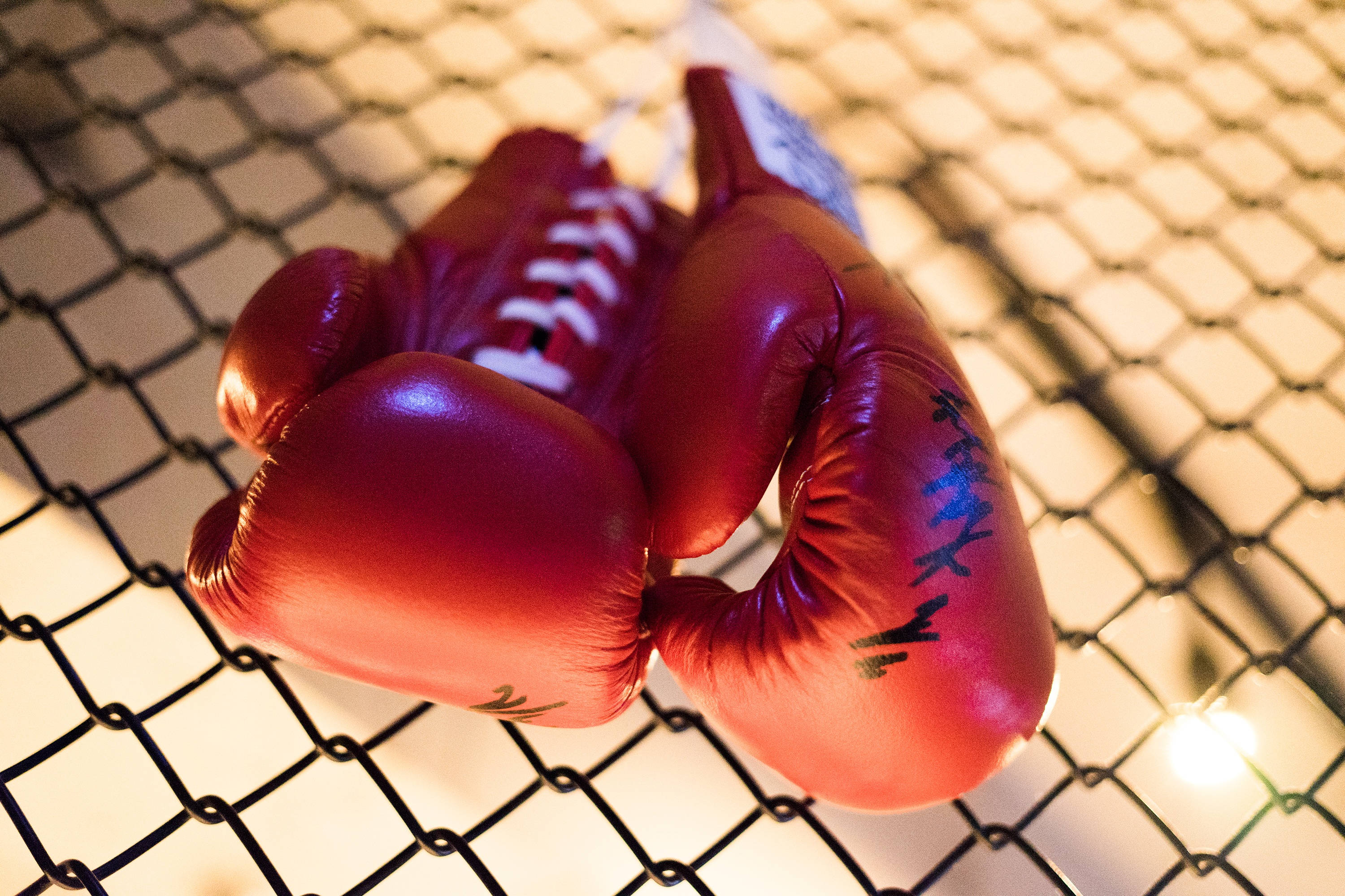 Boxing 桌布 壁紙 — 一對帶有黑色標記的紅色拳擊手套放在黑色鐵絲網圍欄上，在溫暖的燈光下。