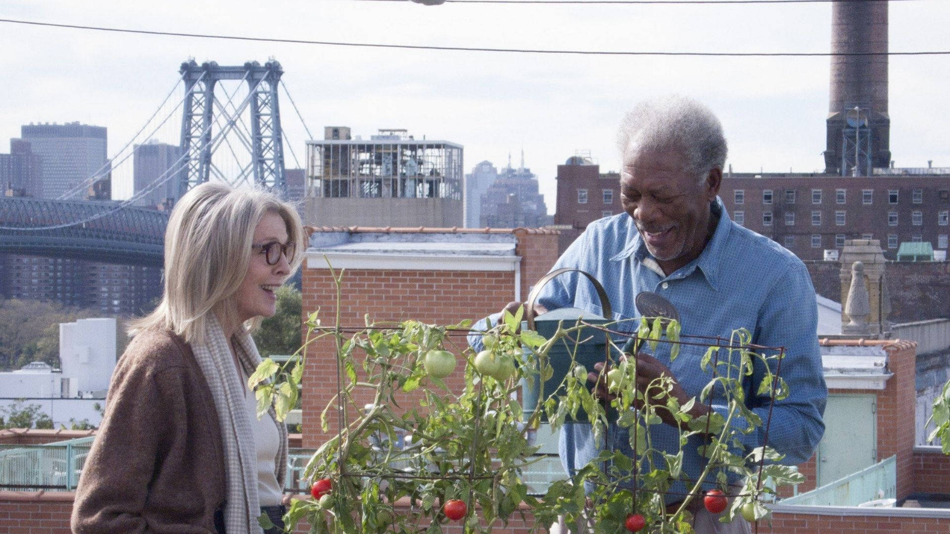 Morgan Freeman 桌布 壁紙 — 一對年長夫婦在都市屋頂上共享快樂時光，照料番茄植物，背景有橋樑和天際線。