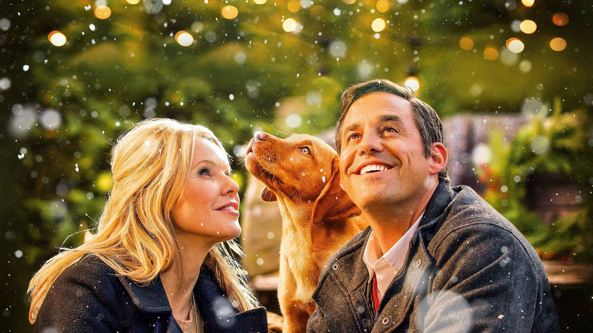 Nicholas Brendon 桌布 壁紙 — 一對微笑的情侶和他們的金毛犬抬頭仰望，雪花飄落，背景是閃爍的燈串和綠植。