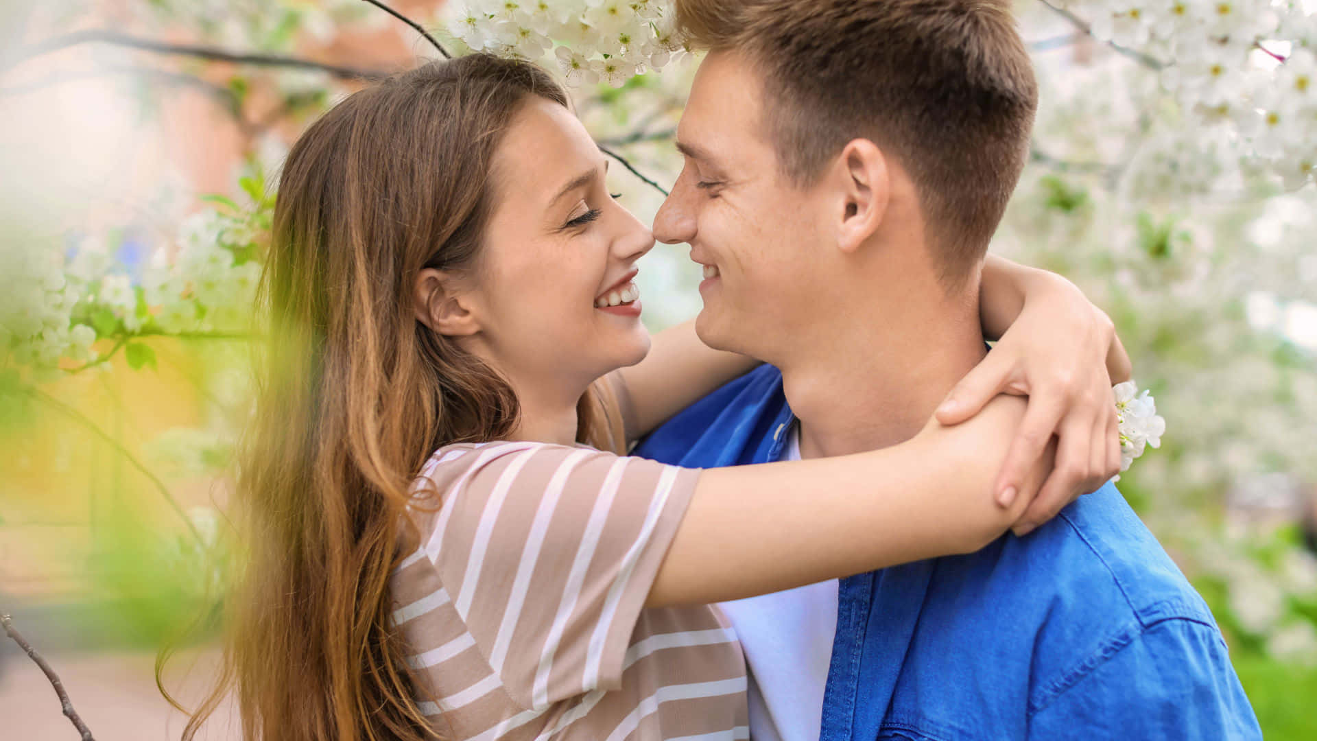 Boyfriend And Girlfriend 桌布 壁紙 — 一對微笑的情侶在陽光明媚的花園中，盛開的白色櫻花下擁抱。