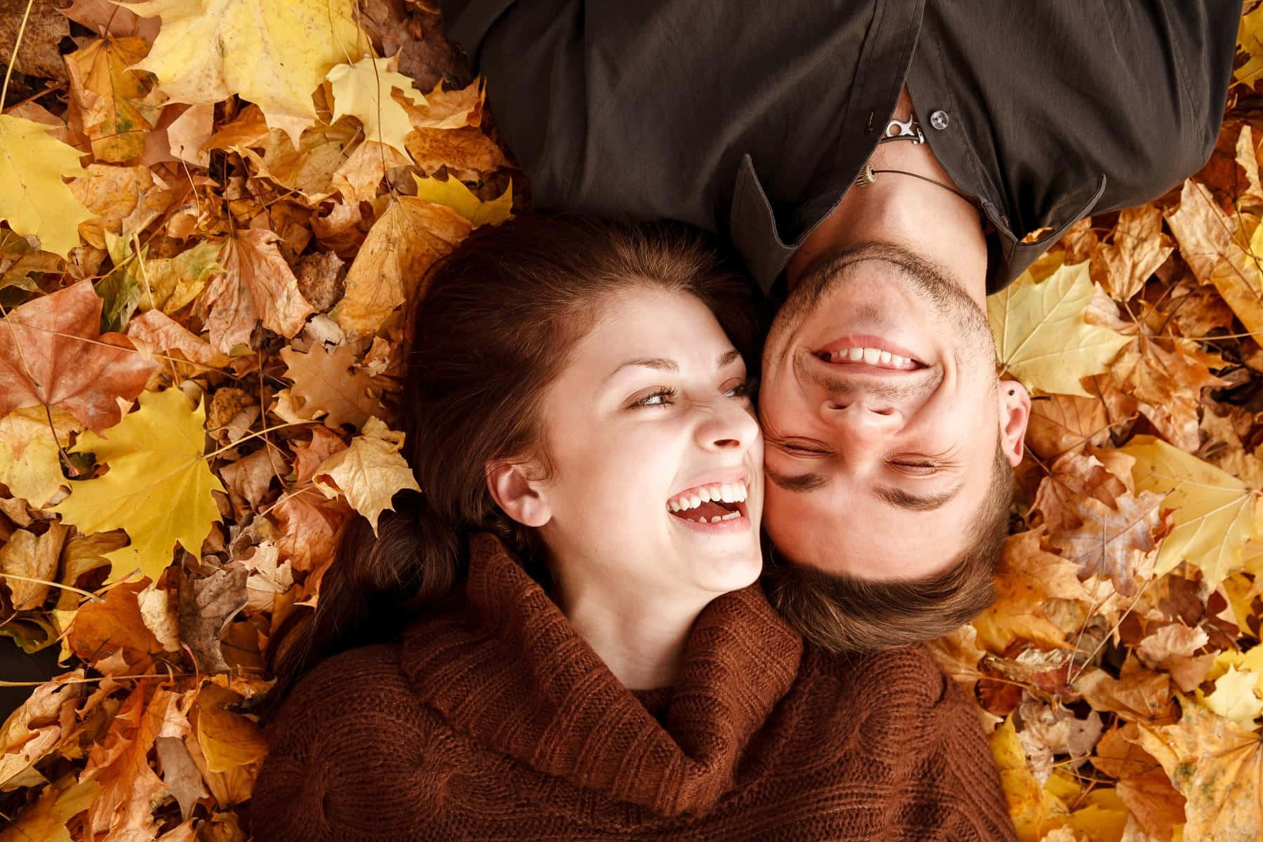 Autumn Leaves 桌布 壁紙 — 一對快樂的情侶倒臥在金黃色的秋葉床上，一起歡笑。