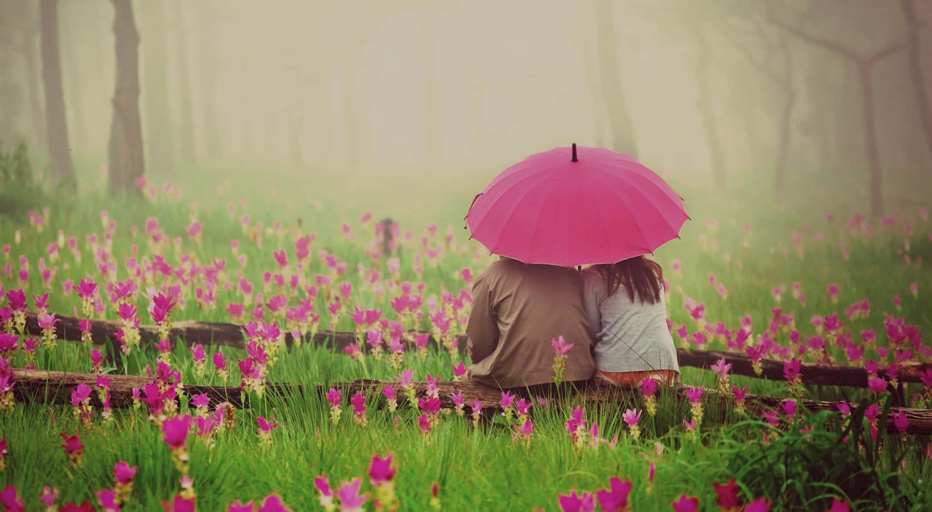 Romantic Love 桌布 壁紙 — 一對情侶共享一把亮粉紅色的雨傘，坐在木柵欄上，身處一片霧氣瀰漫的粉紅色花田。