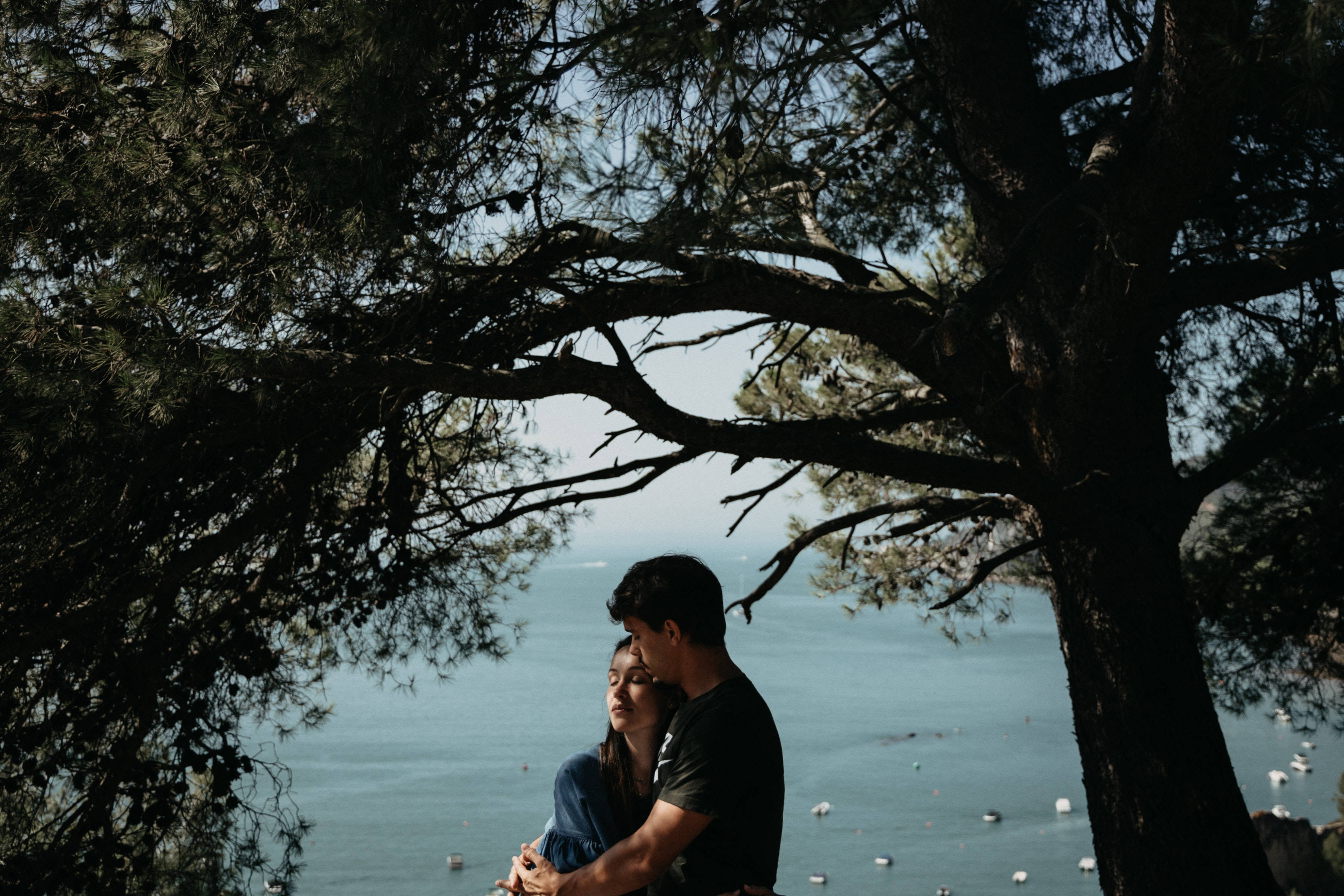 couple love 桌布 壁紙 — 一對情侶在一棵枝葉茂密的松樹下擁抱，俯瞰著平靜的藍色大海，海面上點綴著船隻。