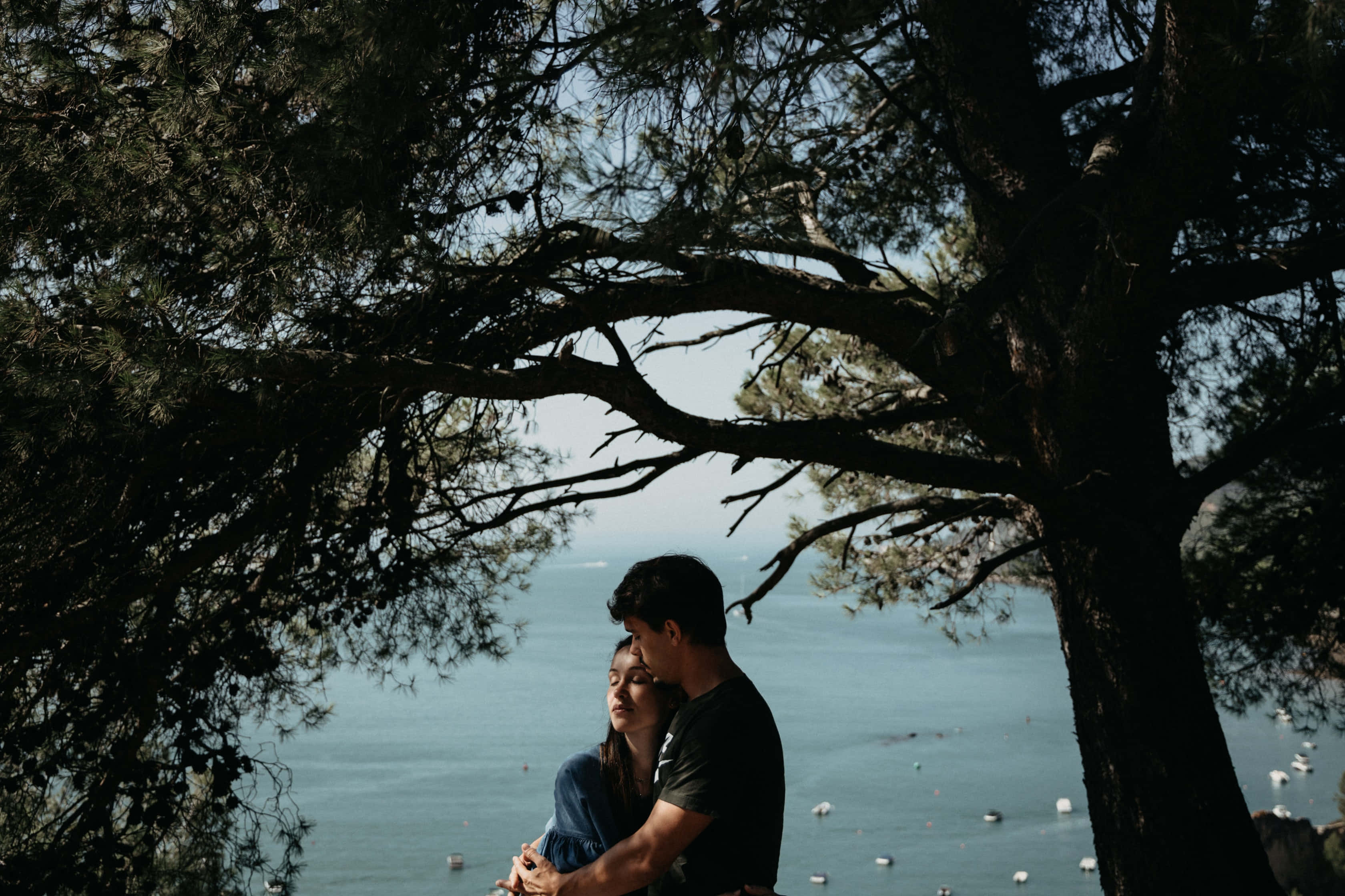 Beautiful Romantic 桌布 壁紙 — 一對情侶在一棵枝葉茂盛的樹下擁抱，背後可見寧靜的藍色大海和遠處的船隻。