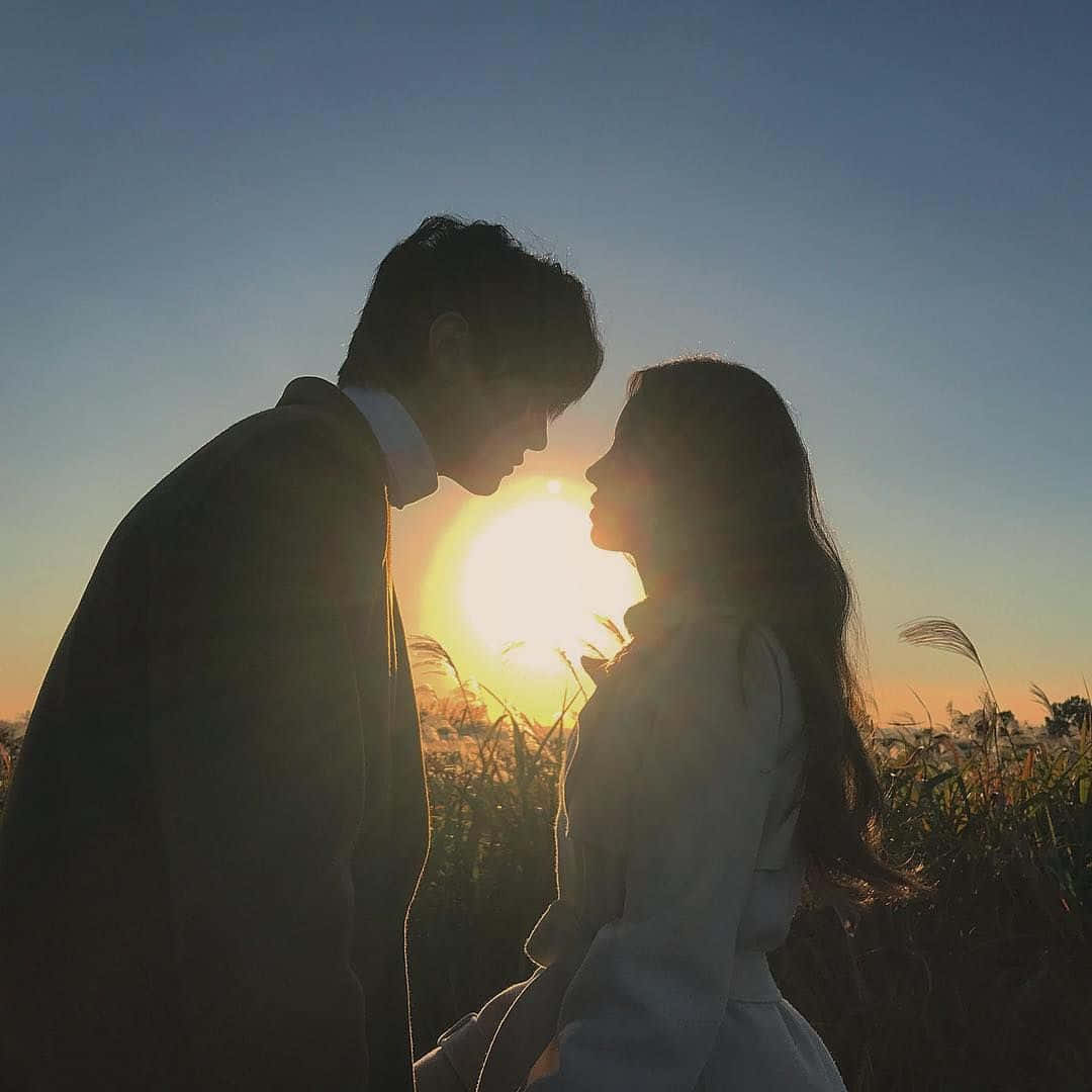 Aesthetic Couple 桌布 壁紙 — 一對情侶在剪影中傾身親吻，夕陽在他們身後的高草田野中落下。