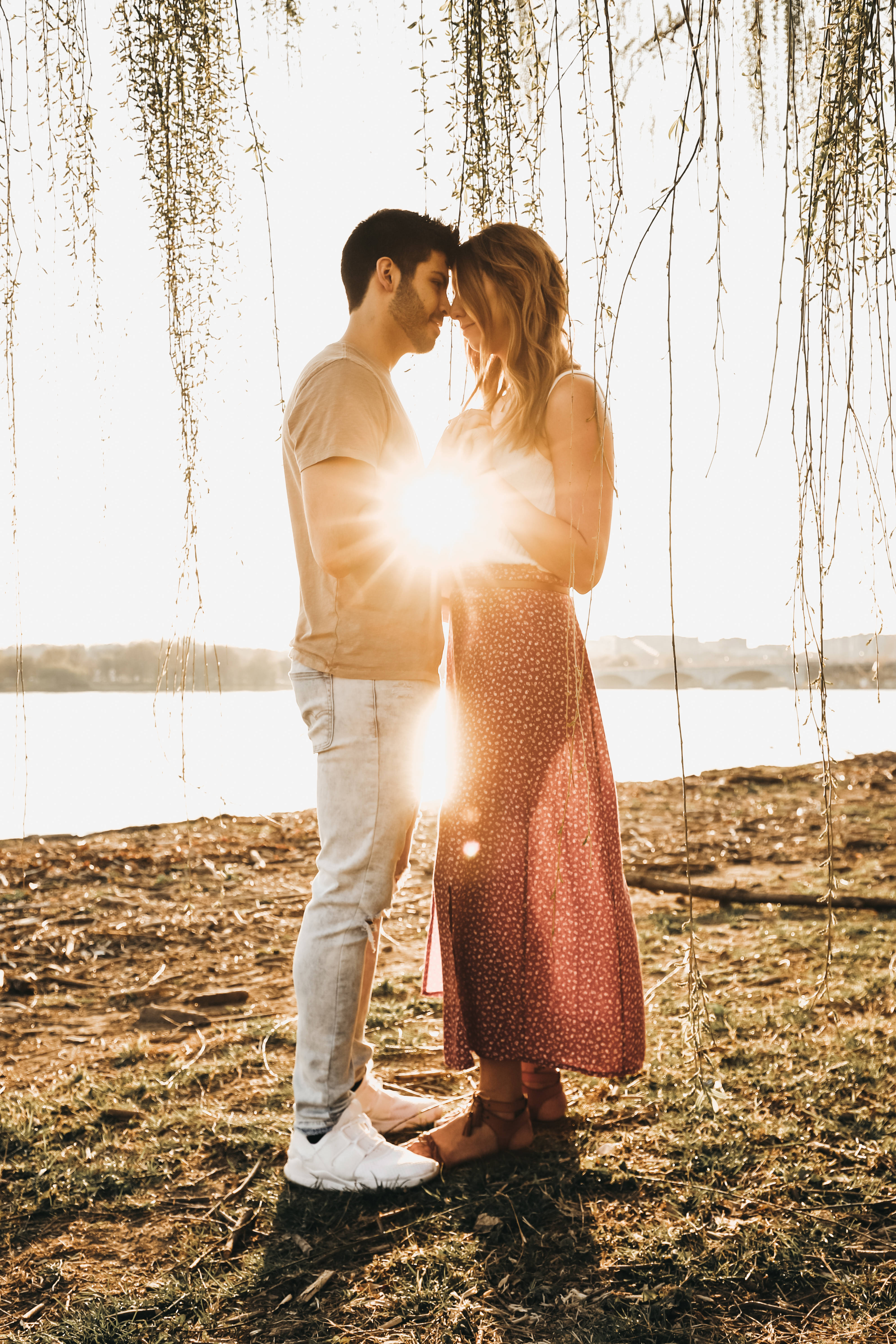 Romantic Couples 桌布 壁紙 — 一對情侶在垂柳枝下緊靠站立，金色陽光在他們之間閃耀，旁邊是平靜的湖泊。