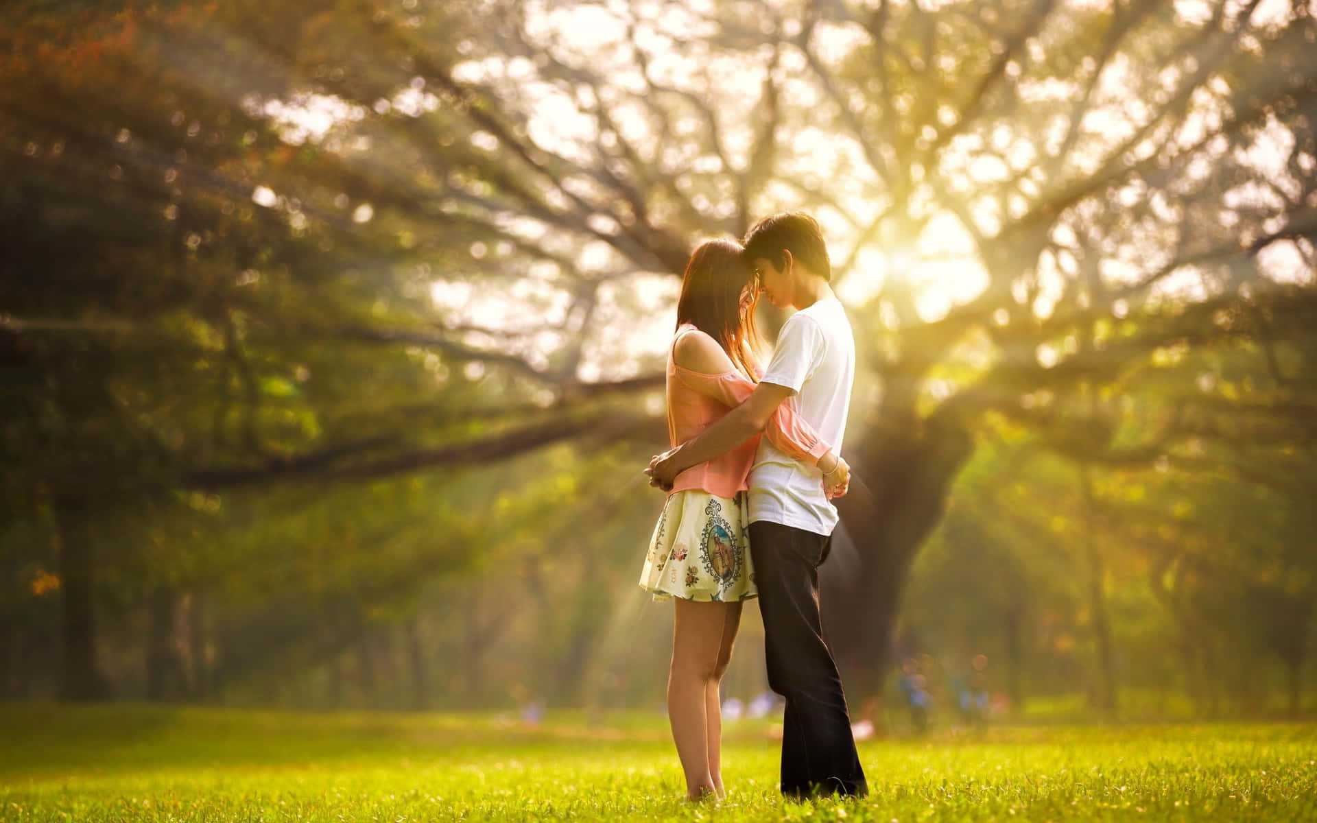 Love Couple 桌布 壁紙 — 一對情侶在寧靜的公園裡，在透過茂密樹葉灑落的金色陽光下溫柔擁抱。