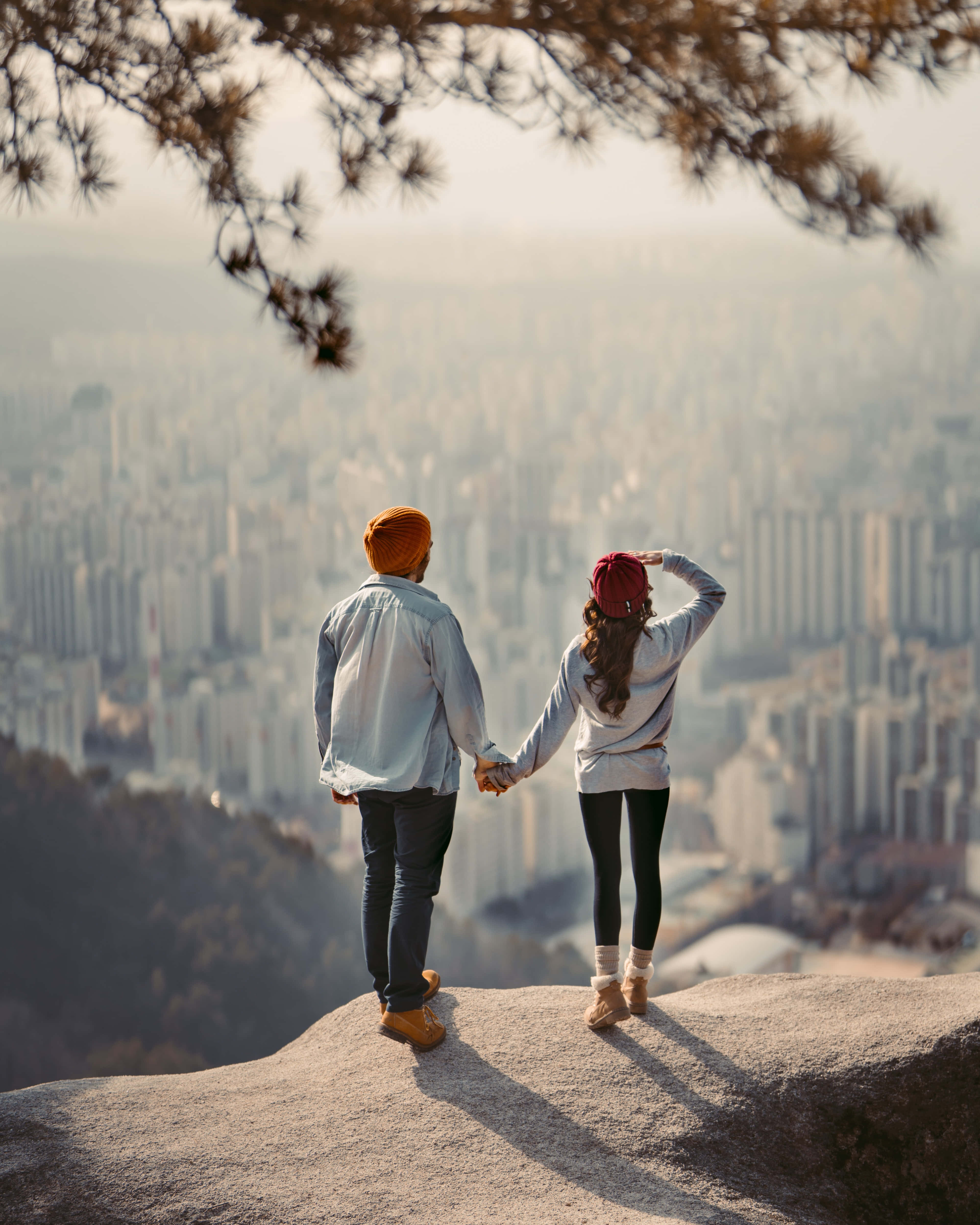 Relationship 桌布 壁紙 — 一對情侶在岩石山頂上牽手，俯瞰著由松樹枝條框住的廣闊霧氣瀰漫的城市景觀。