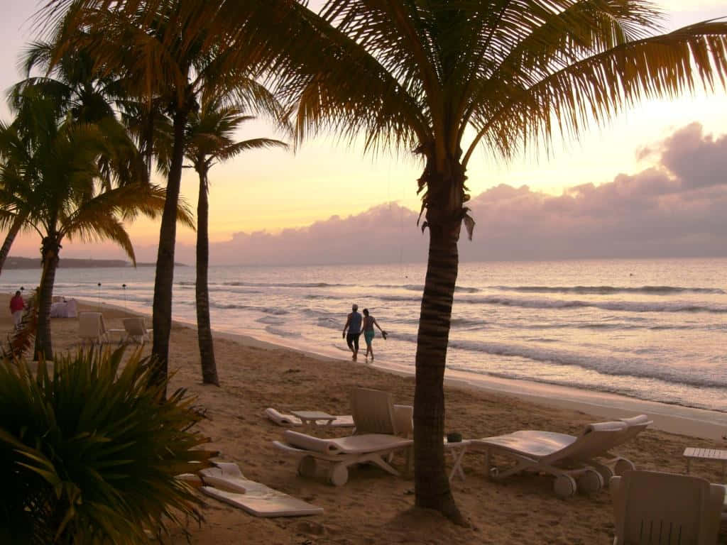 Jamaican Beach 桌布 壁紙 — 一對情侶在日落時分沿著沙灘漫步，周圍是高高的棕櫚樹和躺椅。