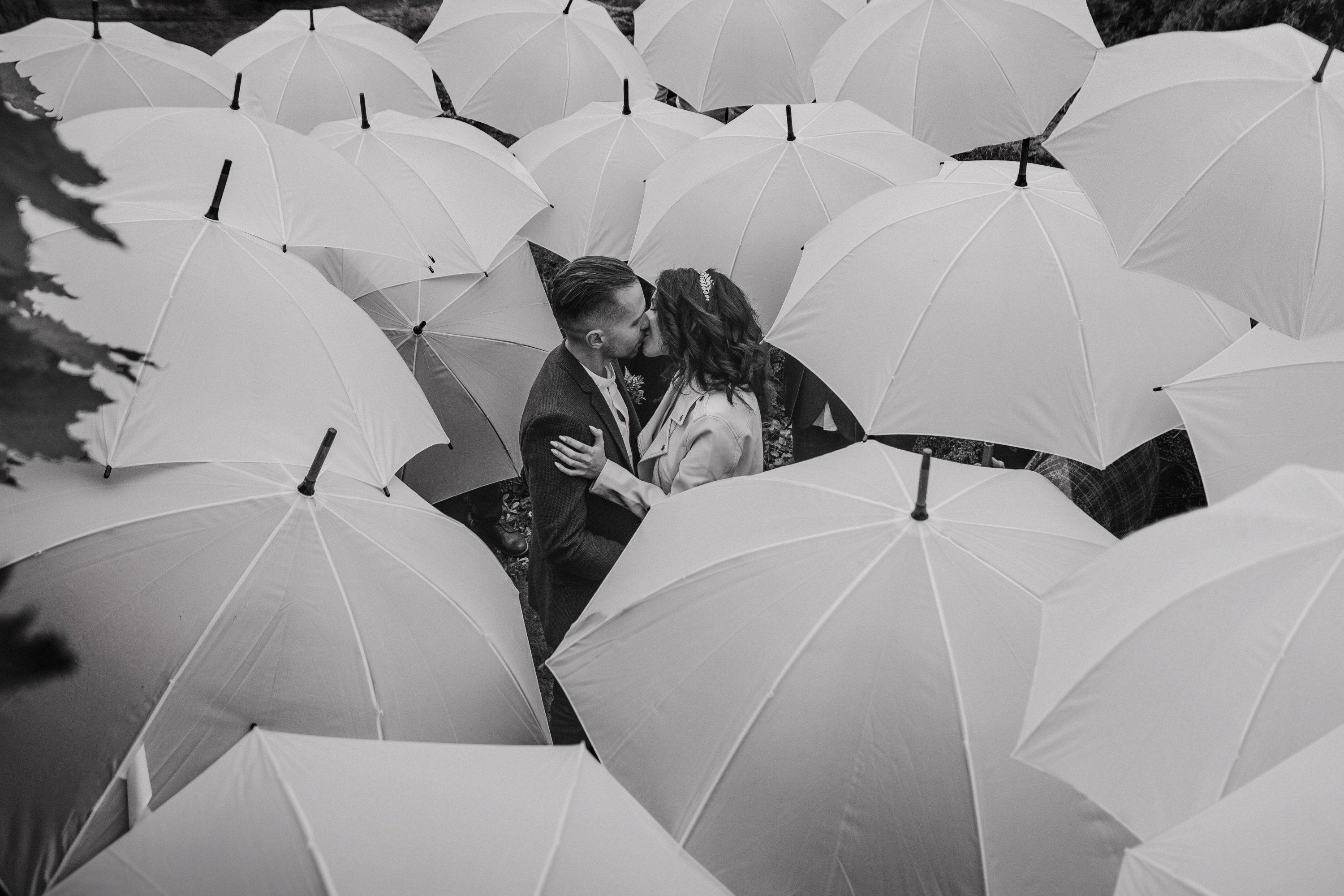 Umbrella 桌布 壁紙 — 一對情侶在白色雨傘的海洋中親密接吻，構成單色畫面。